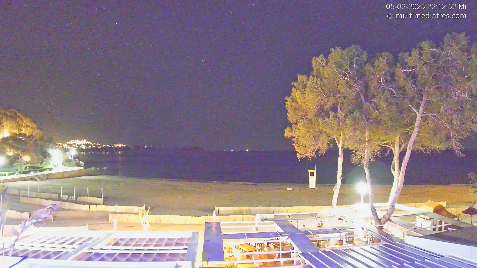 A nighttime view of a sandy beach under a clear, starry sky, with several illuminated pine trees and a partially visible beachfront building in the foreground.
