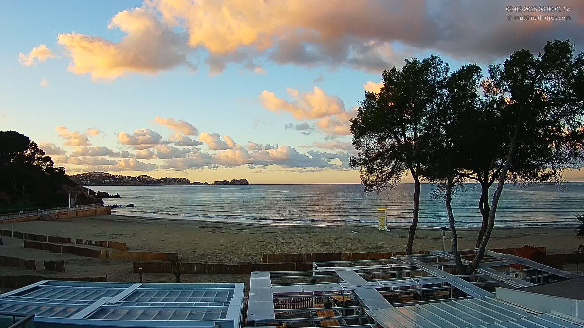 A sandy beach with calm ocean waves under a partly cloudy sky, with a pinkish-orange hue near the horizon, and several pine trees in the foreground.