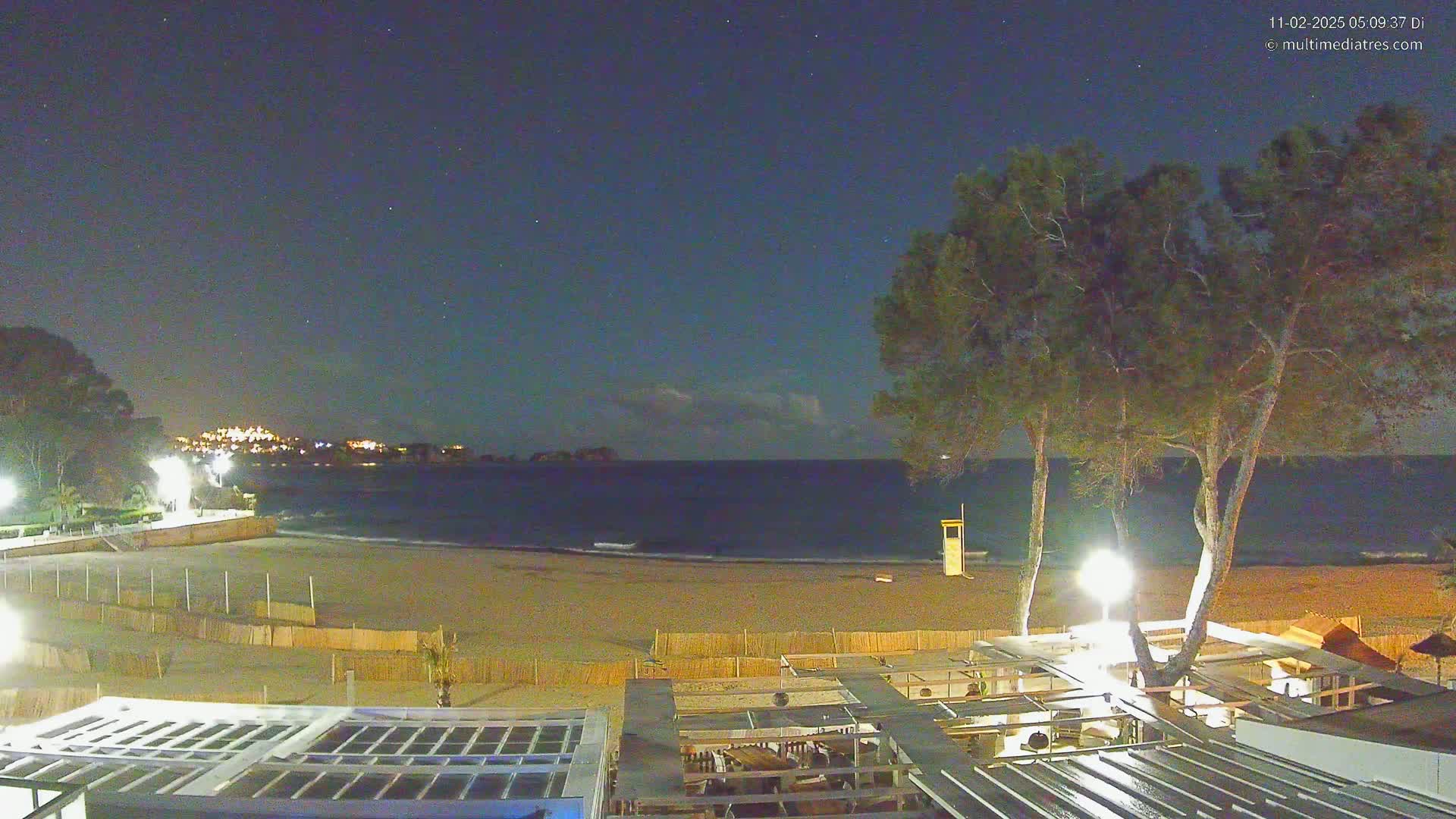 A nighttime view of a sandy beach with calm water, a lifeguard stand, and several trees illuminated by artificial lights under a clear, starry sky.