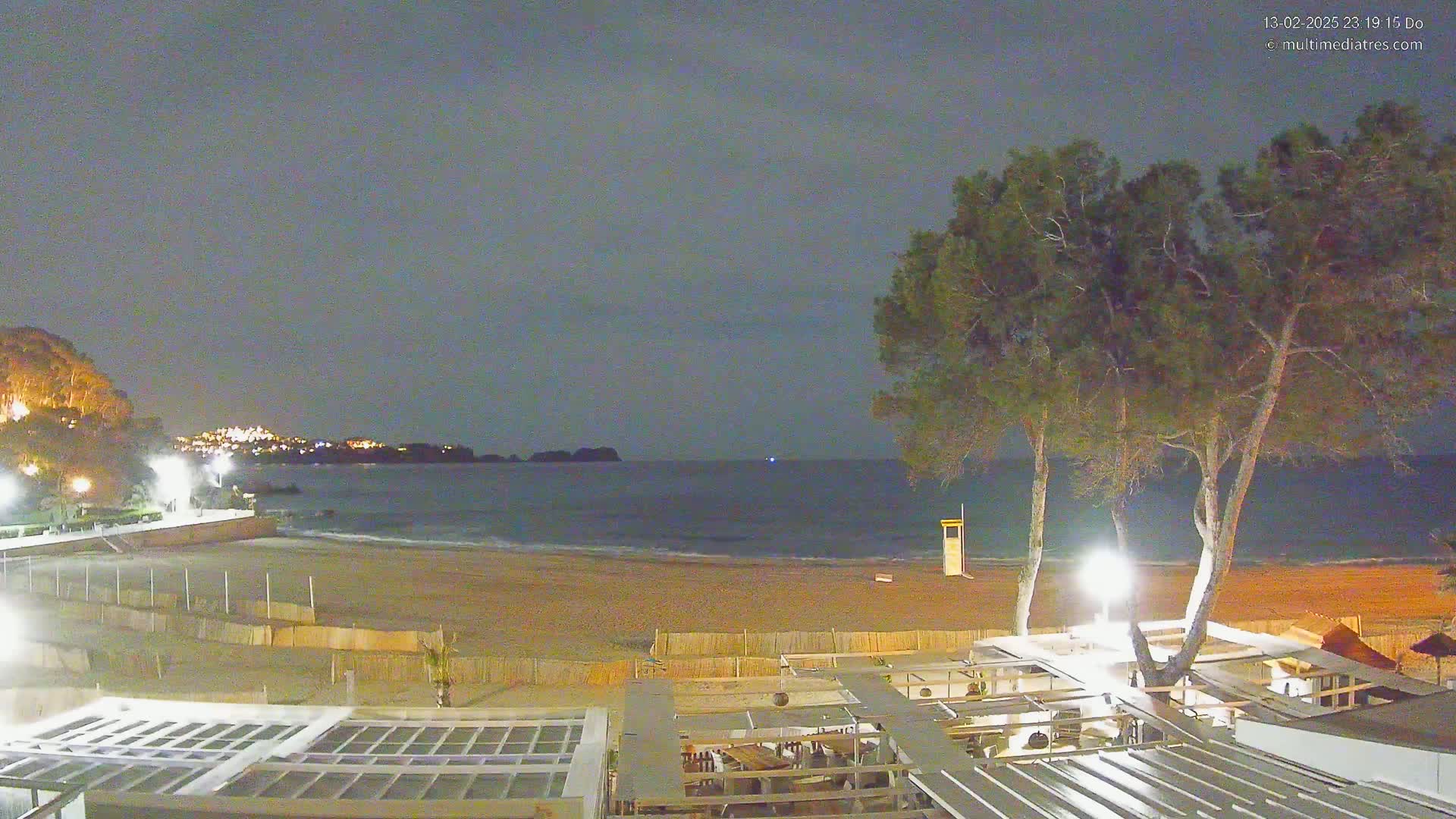 A nighttime view of a sandy beach with calm waves, illuminated by artificial lights, and two tall pine trees standing near a beachfront building.