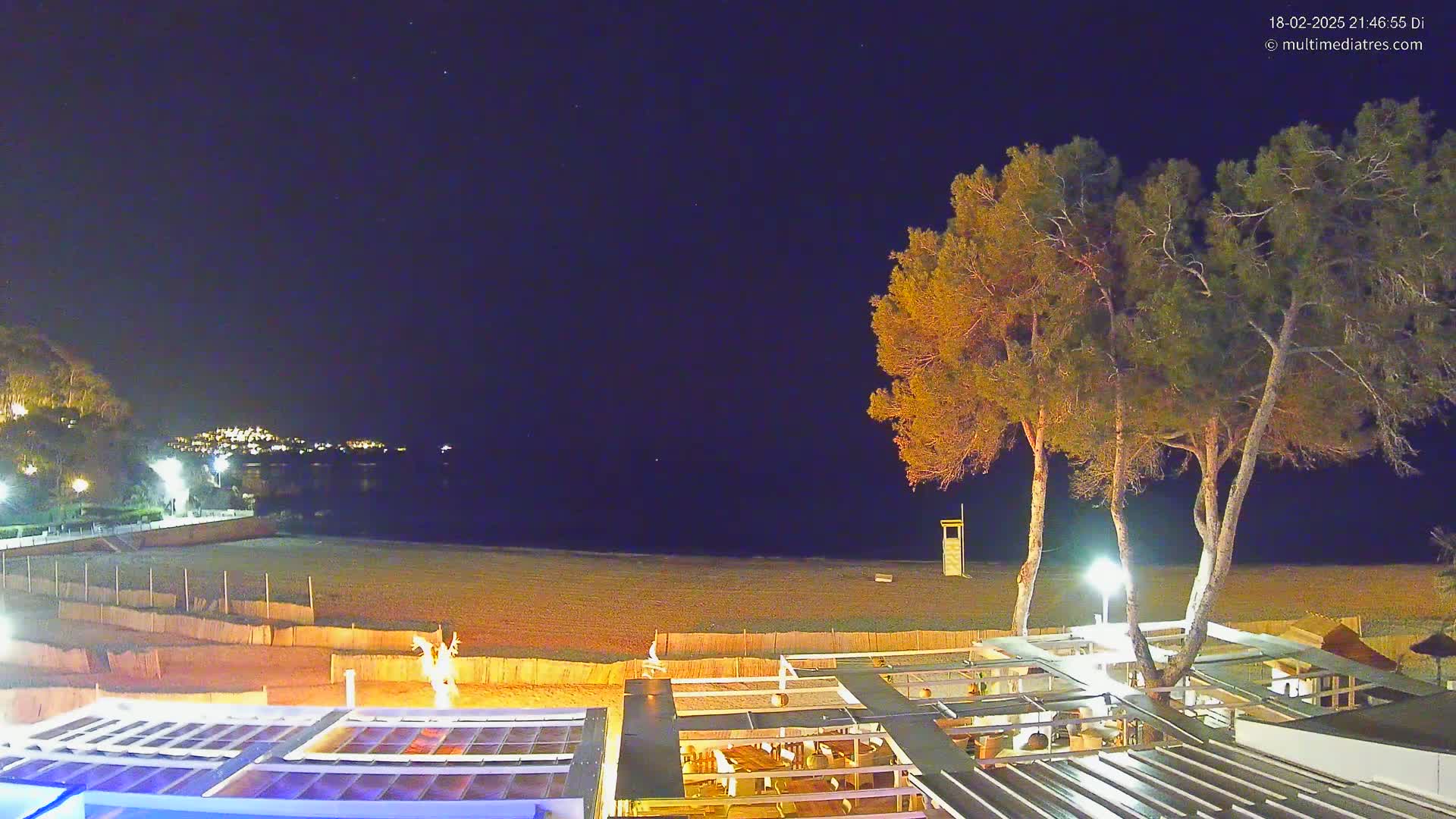 A nighttime view of a beach with a restaurant and several pine trees, under a clear, starry sky.