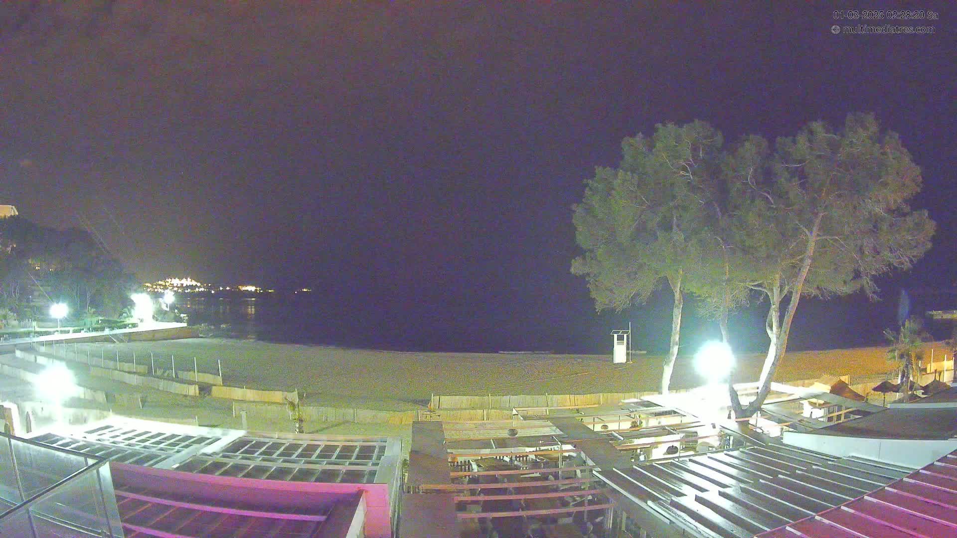 A nighttime view of a beach with a calm sea, illuminated by lights, and a few trees near a beachfront building.