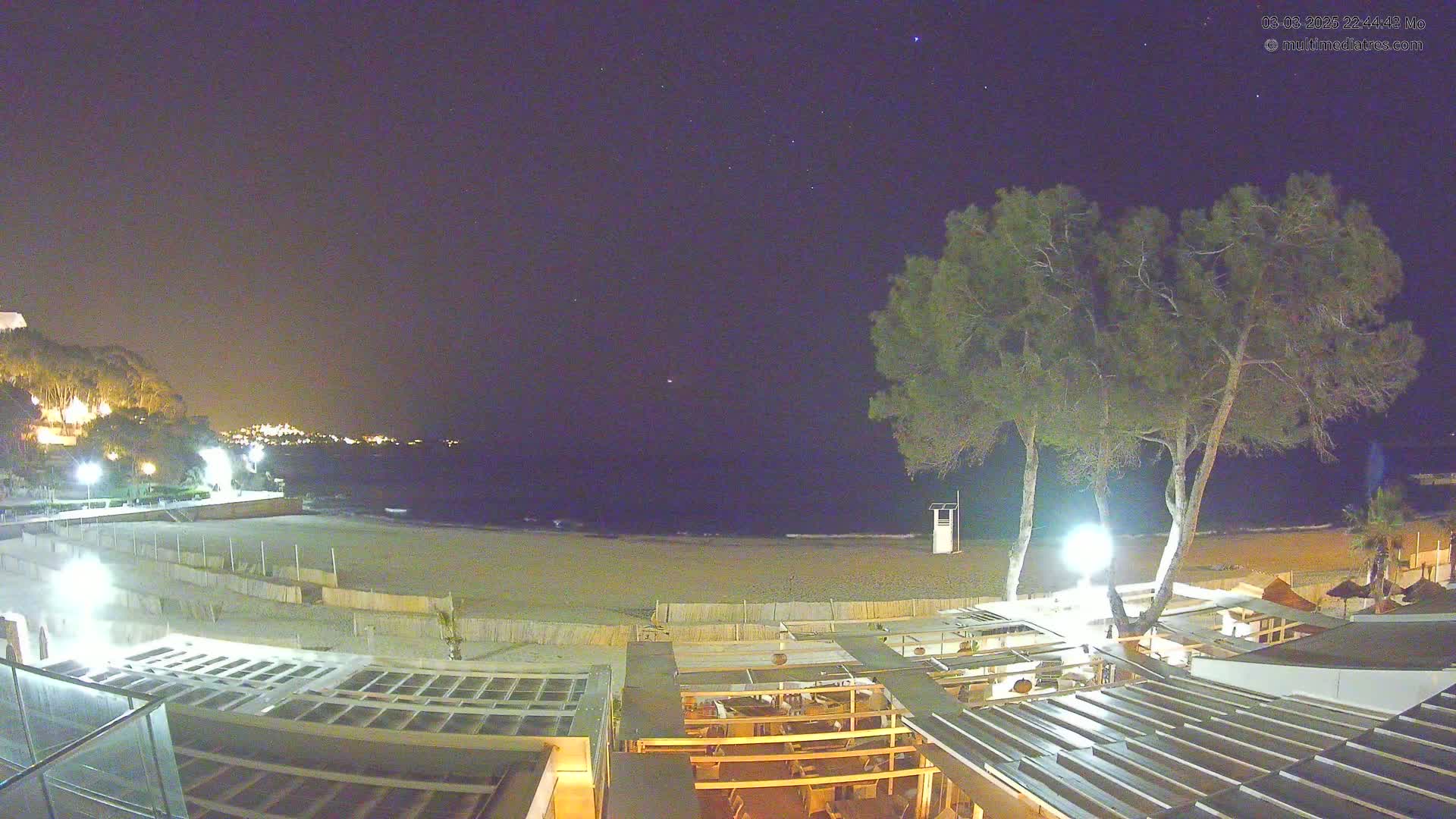 A nighttime view of a beach with a calm sea under a clear, starry sky, featuring two tall trees near a beachfront building with outdoor seating.