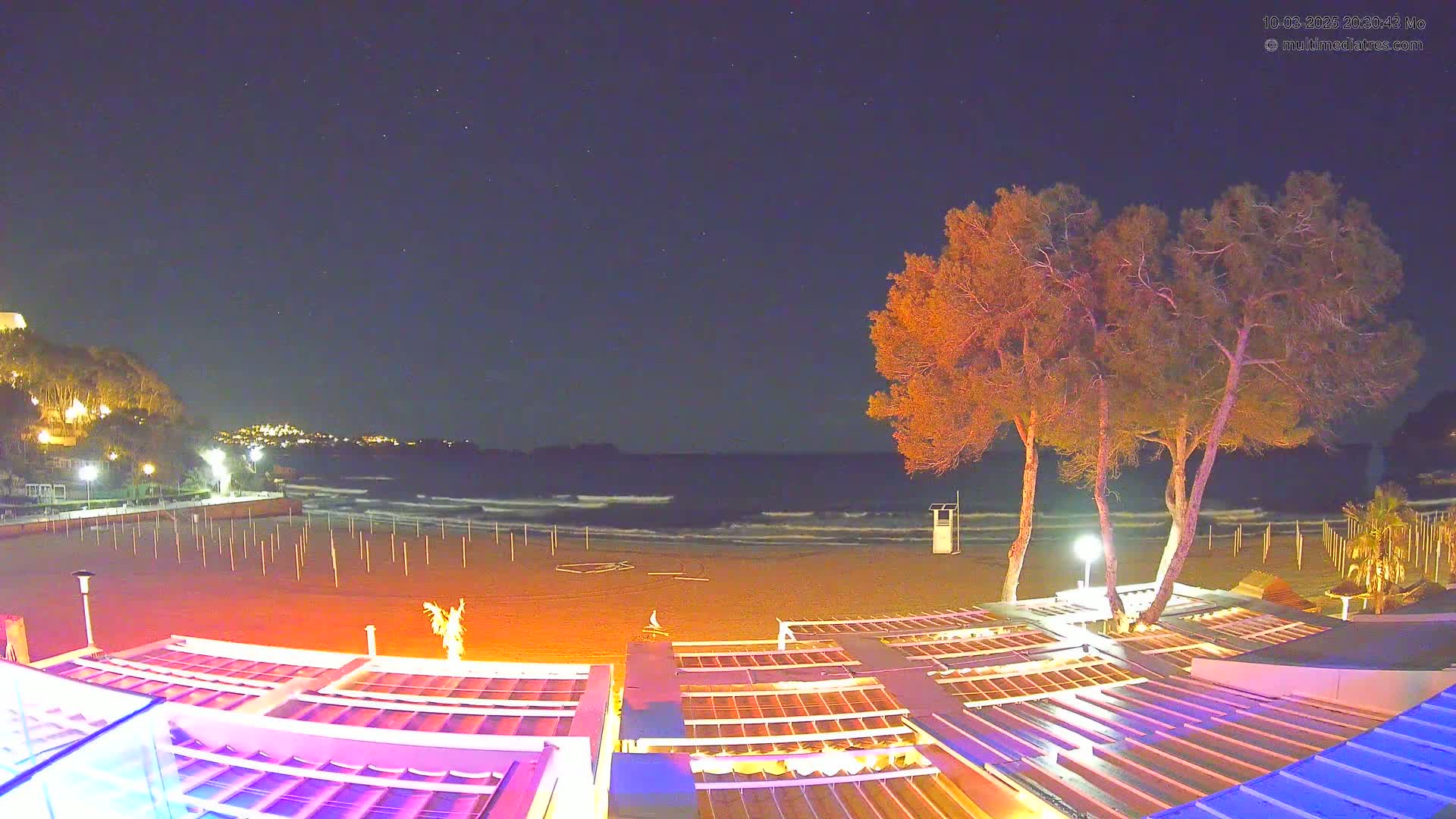 A nighttime view of a beach with gently waving water, illuminated beachside structures, and several trees silhouetted against a starry sky.