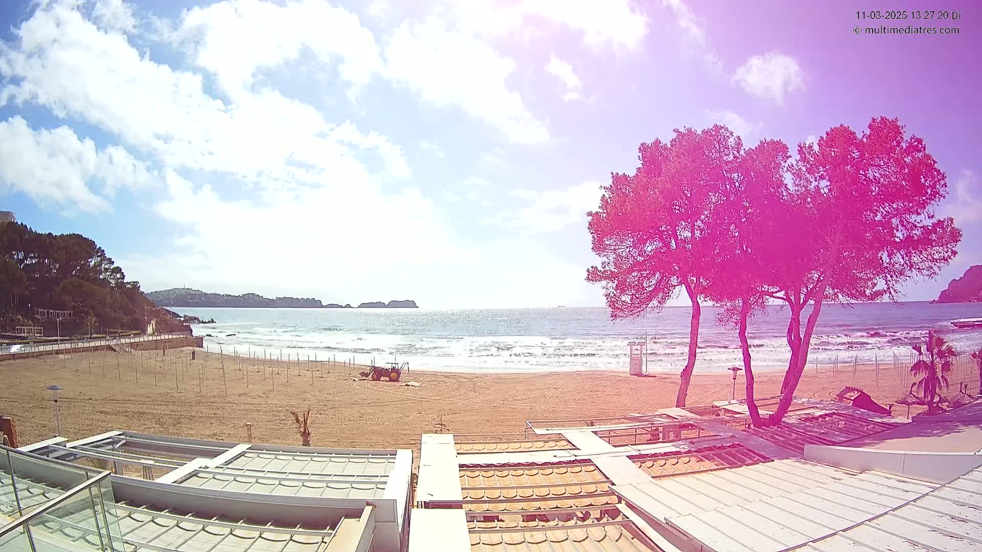 A sandy beach with small waves under a partly cloudy sky, viewed from above beachside structures with two vibrantly pink trees in the foreground.