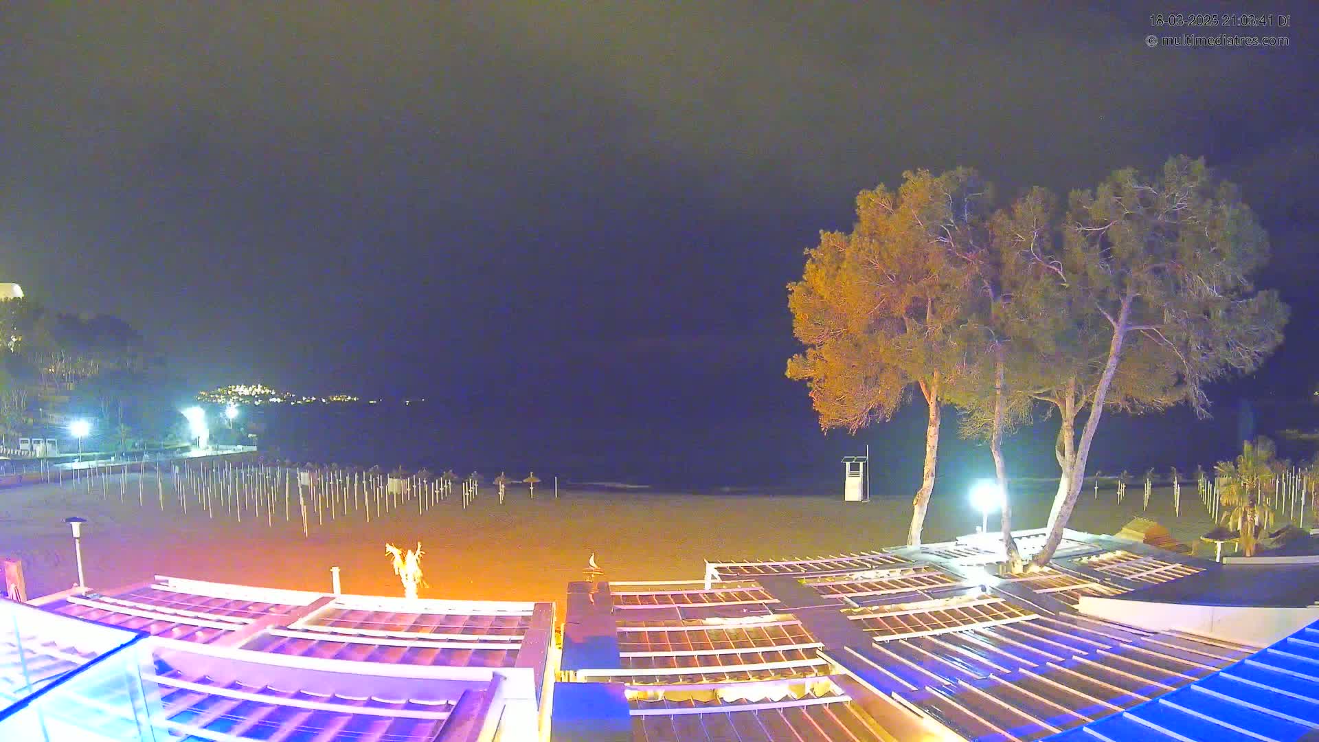 A nighttime view of a beach with closed umbrellas, illuminated beachside structures, and two tall trees near a lifeguard station under a dark sky.