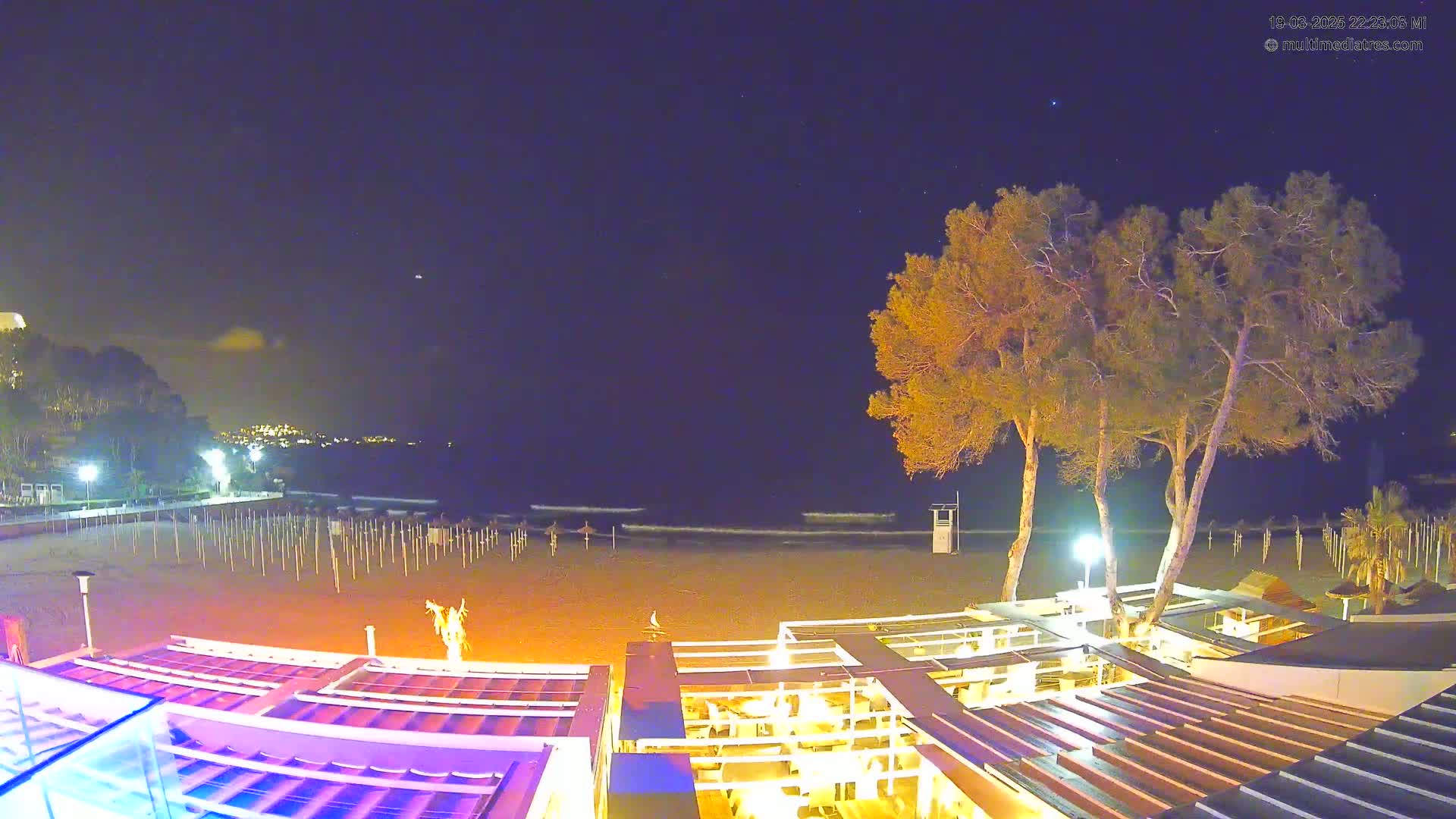 A nighttime beach scene shows a sandy beach with rows of beach umbrellas, illuminated buildings, and several tall pine trees under a clear, dark sky.