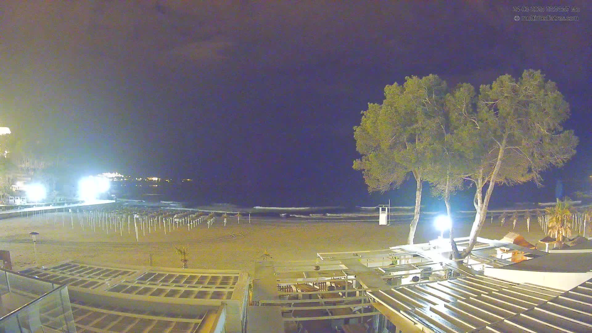 A nighttime view of a sandy beach with closed umbrellas, a calm sea, and several trees near a beachfront structure.
