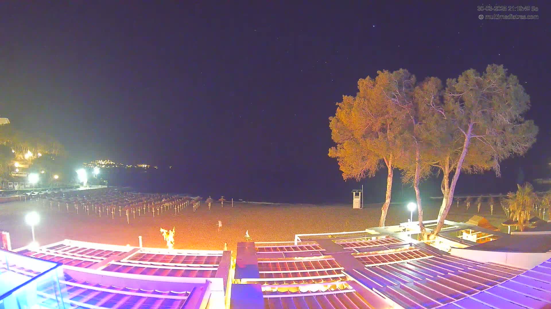A nighttime view of a beach with closed umbrellas, a few trees, and a building with a retractable roof, under a clear, starry sky.