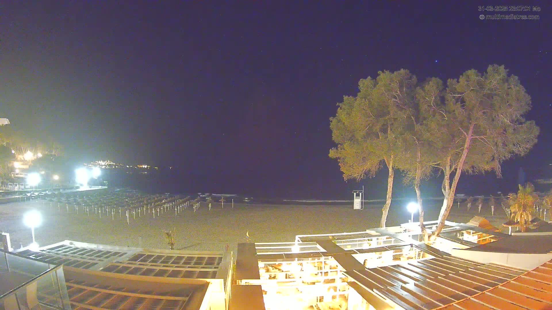 A nighttime view of a beach with closed umbrellas, illuminated buildings, and several tall, slender trees under a clear, starry sky.