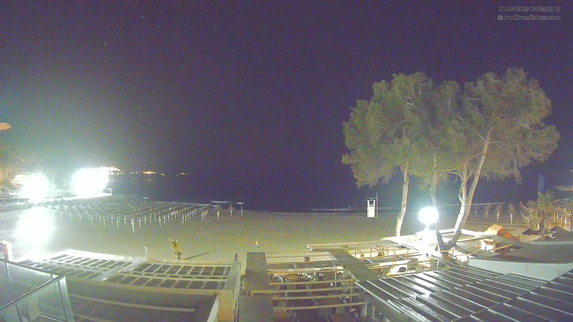 A nighttime view of a beach with closed umbrellas, a few trees, and a building with outdoor seating under a clear, starry sky.