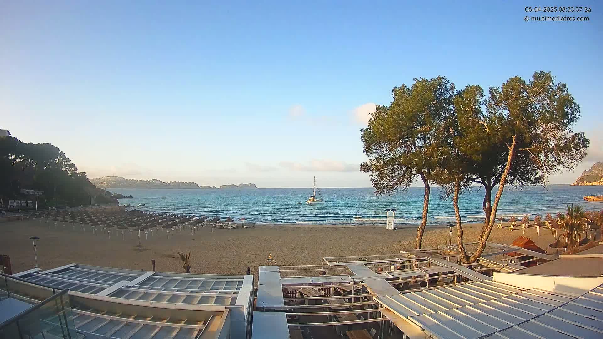 A sandy beach with rows of umbrellas, a calm ocean with a sailboat, and several pine trees in the foreground under a clear blue sky.