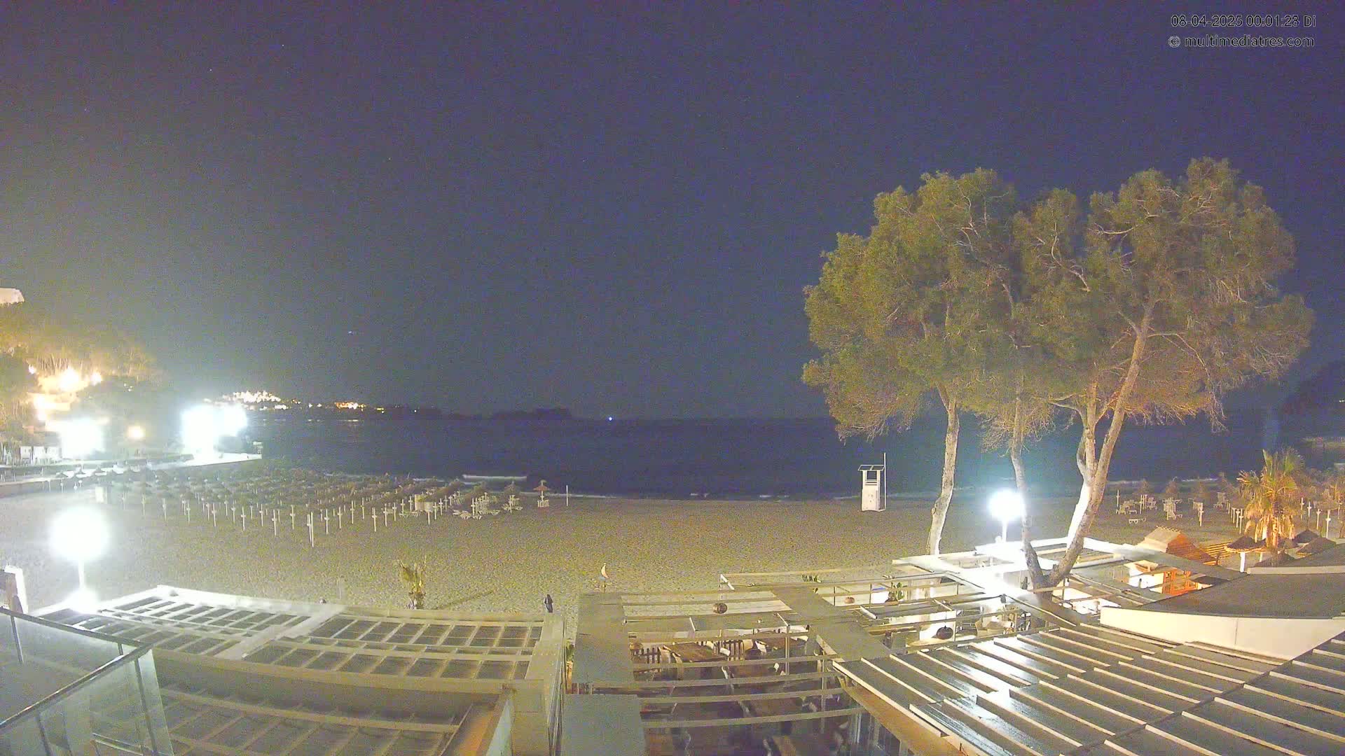A nighttime view of a mostly empty beach with rows of closed beach umbrellas, a few people walking, and several trees near a beachfront building under a clear, dark sky.