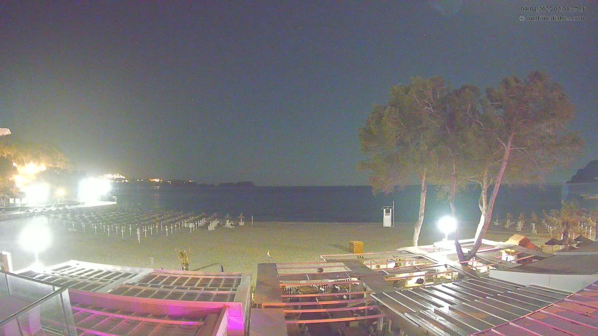 A nighttime view of a sandy beach with closed umbrellas, a calm sea, and several illuminated trees near a beachfront building.