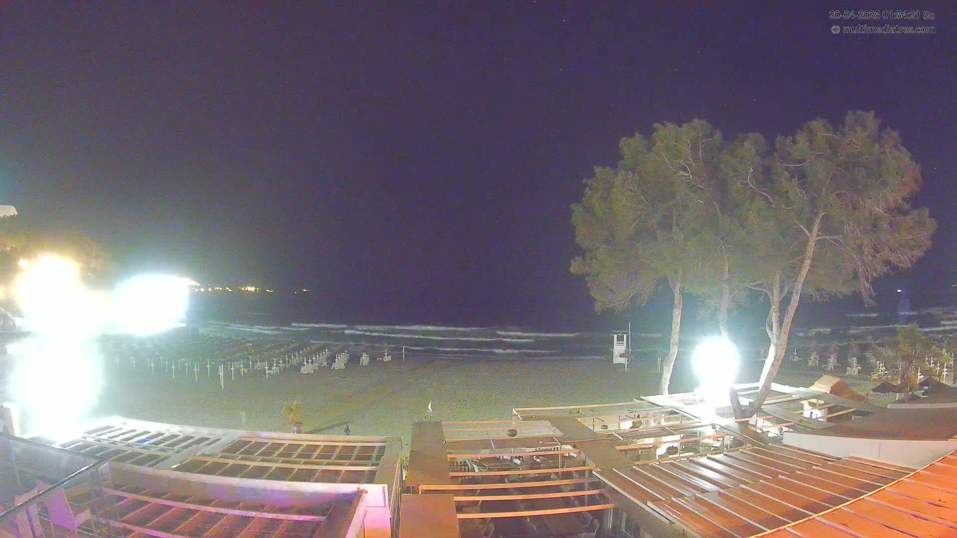 A nighttime view of a beach with gently rolling waves under a clear, dark sky, showing beach umbrellas and chairs on the sand, with the lights of a beachfront establishment and two tall trees in the foreground.