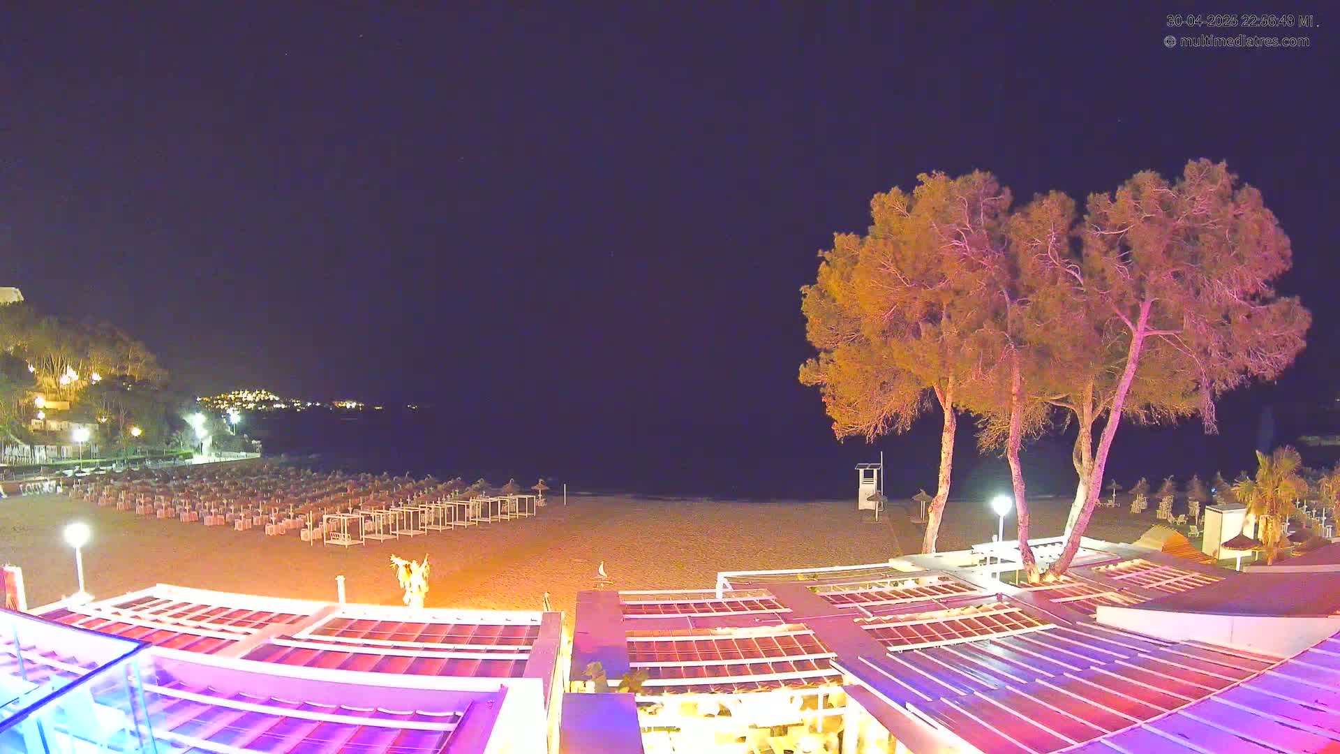 A nighttime view of a beach with rows of closed beach umbrellas, several trees, and a building with illuminated rooftops, overlooking a calm, dark sea under a clear sky.
