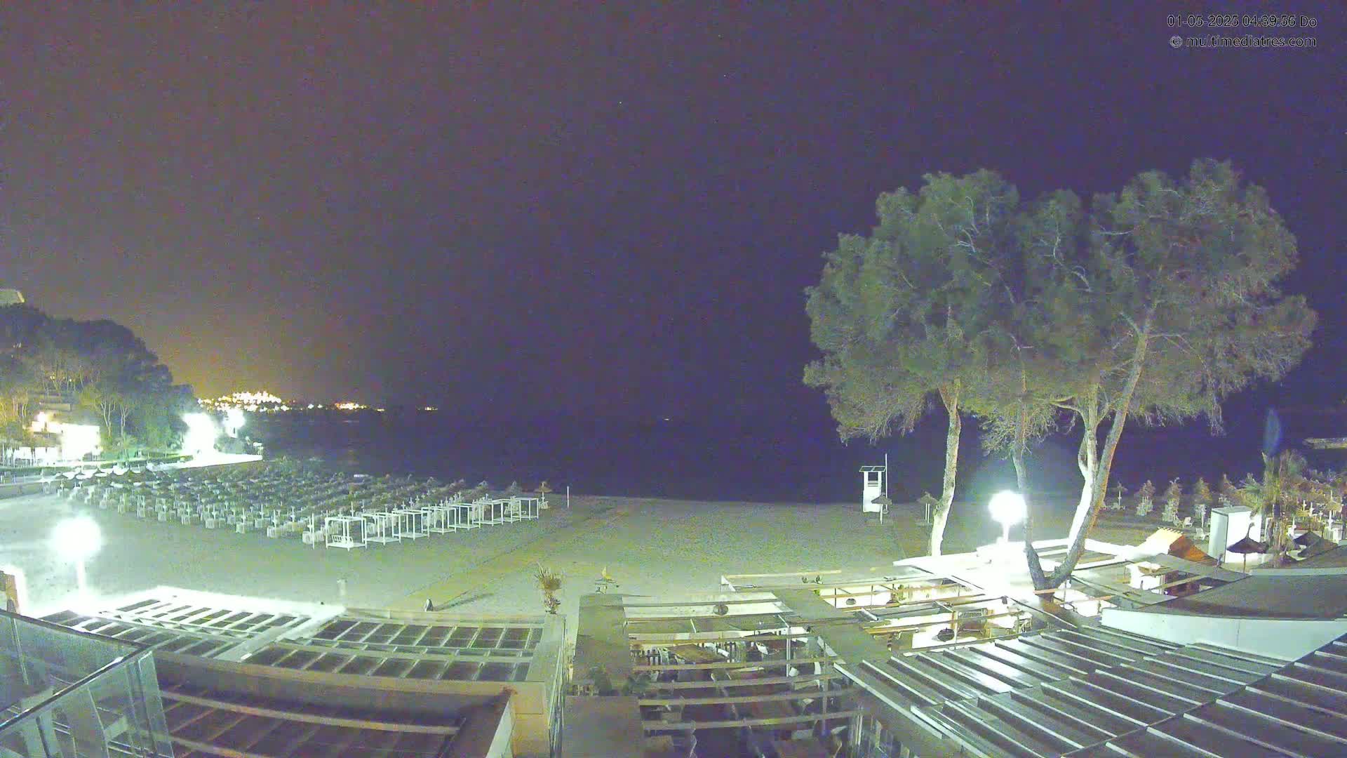 A nighttime view of a mostly empty beach with rows of closed beach umbrellas, some trees, and a building with outdoor seating under a dark, clear sky.