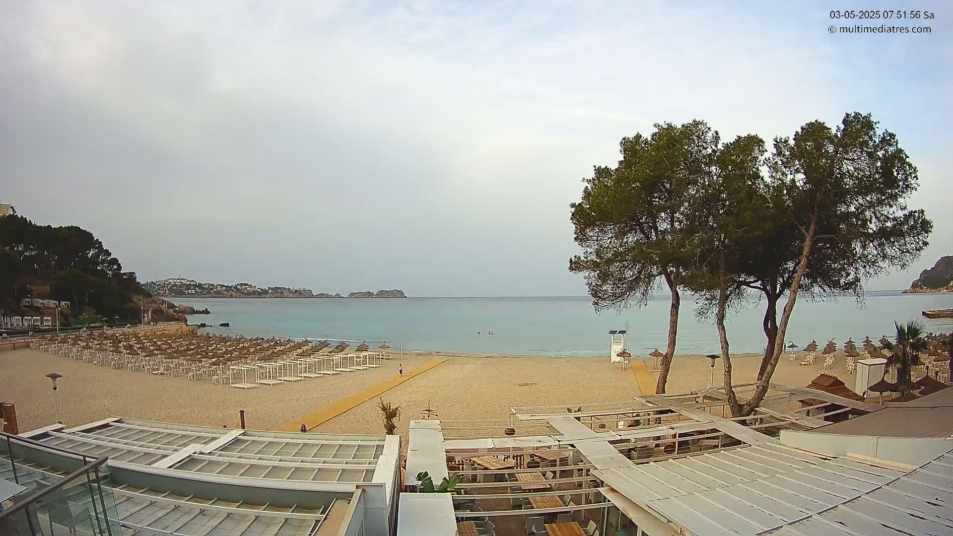 A mostly sunny beach with calm, light blue water, rows of beach umbrellas, and several tall pine trees is partially visible from above a beachside restaurant.