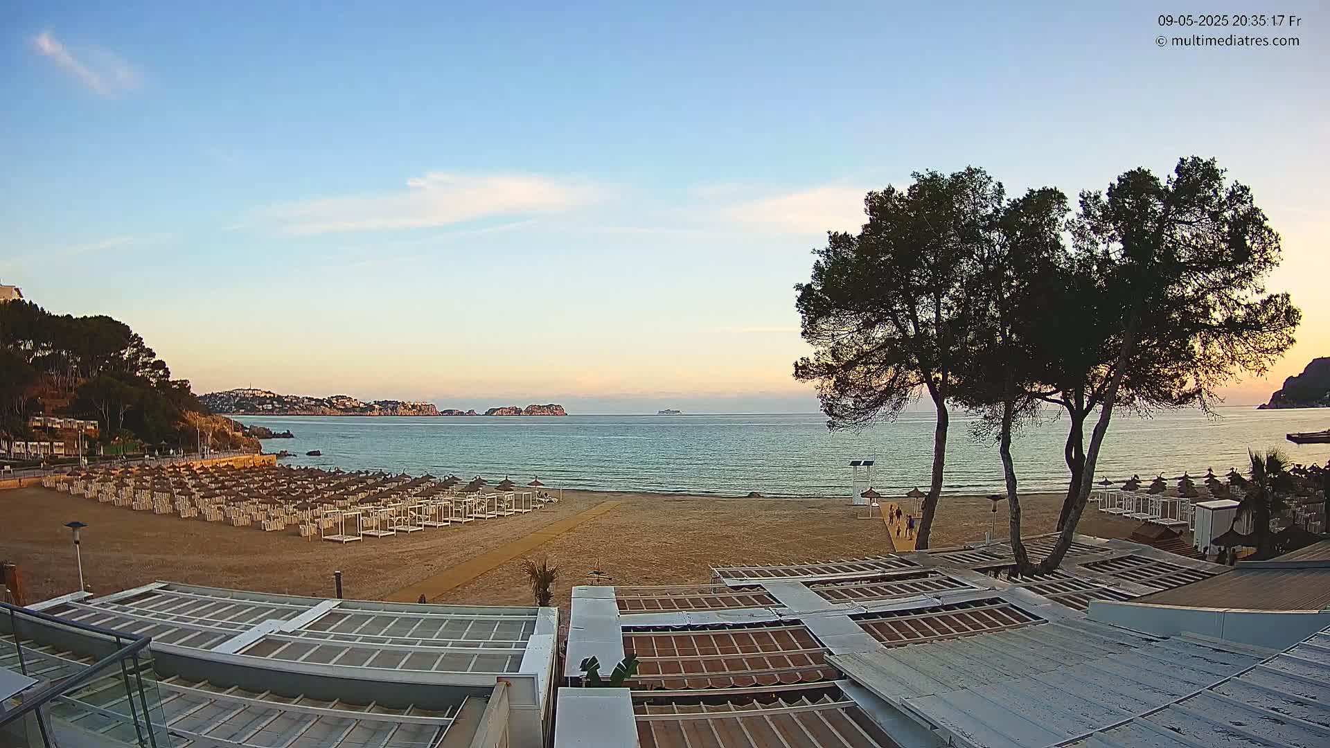 A sandy beach with rows of beach umbrellas and two pine trees in the foreground overlooks a calm sea under a clear twilight sky.