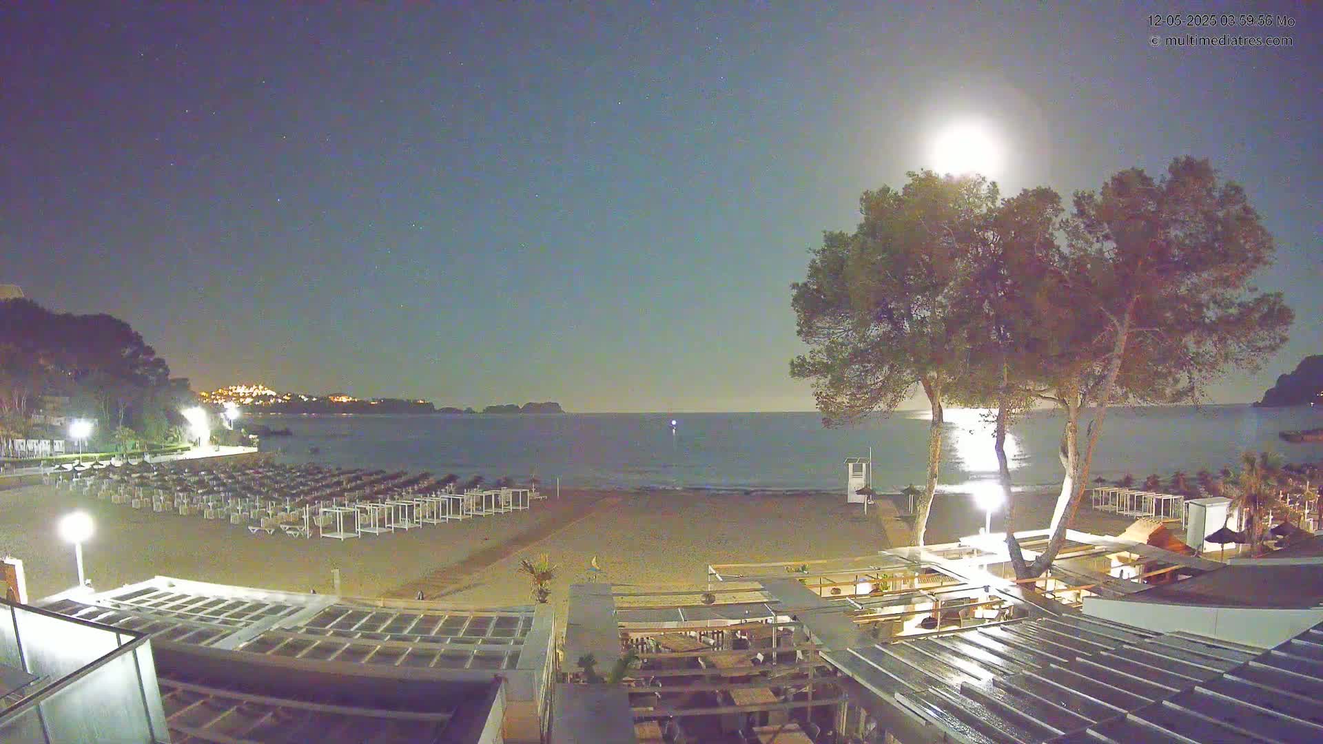 A moonlit beach at night shows rows of closed beach umbrellas and chairs, a calm sea, and two tall pine trees near a beachfront building.