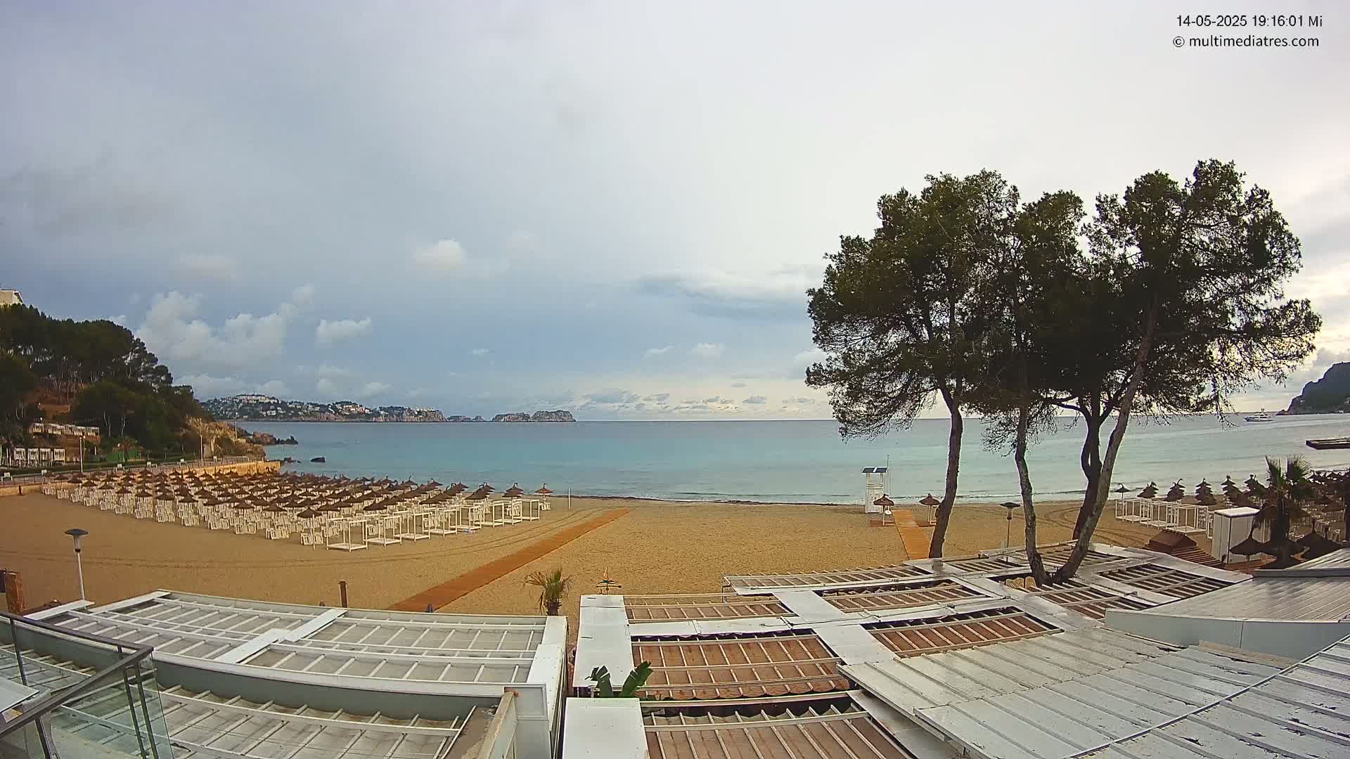 A sandy beach with rows of white beach umbrellas and two tall pine trees overlooks a calm, turquoise ocean under a cloudy sky.
