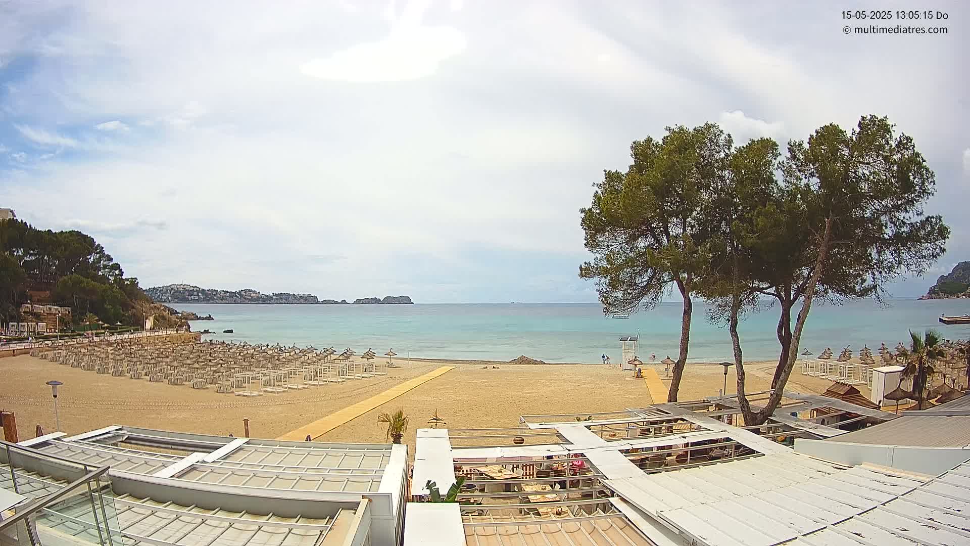 A sandy beach with rows of beach umbrellas, a calm turquoise sea, and pine trees under a partly cloudy sky.