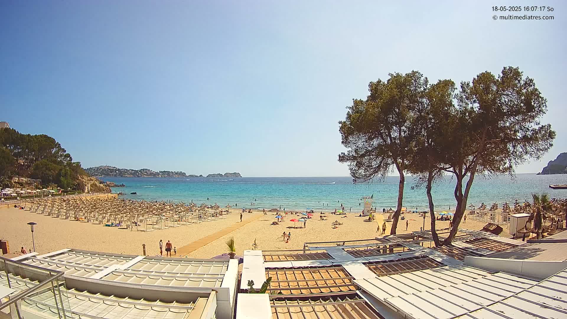 A sandy beach with numerous umbrellas and sunbathers stretches along a calm, turquoise sea under a clear, sunny sky, with dark green pine trees in the foreground.