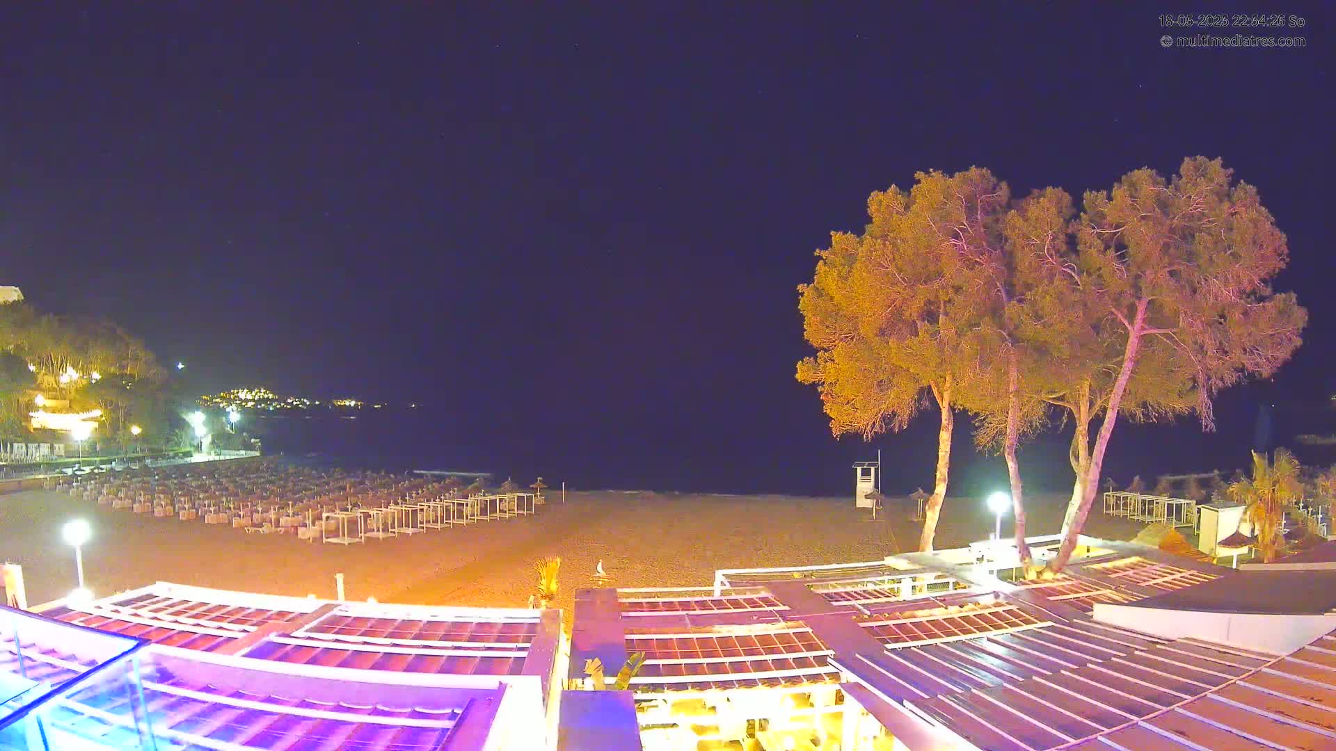 A nighttime view of an empty beach with rows of closed beach umbrellas, illuminated buildings, and several tall trees under a clear, dark sky.