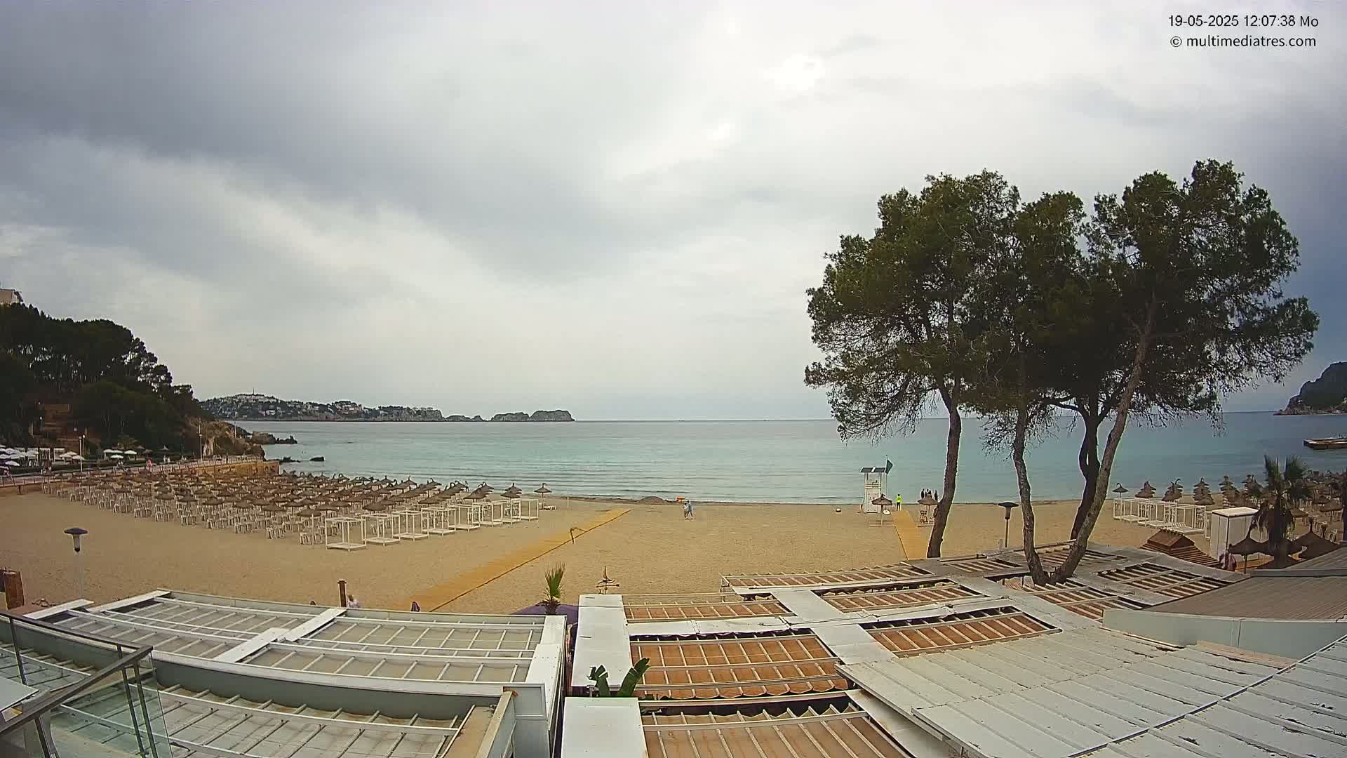 A mostly cloudy day shows a sandy beach with rows of closed beach umbrellas and lounge chairs, two tall pine trees, and a calm sea with a distant shoreline.