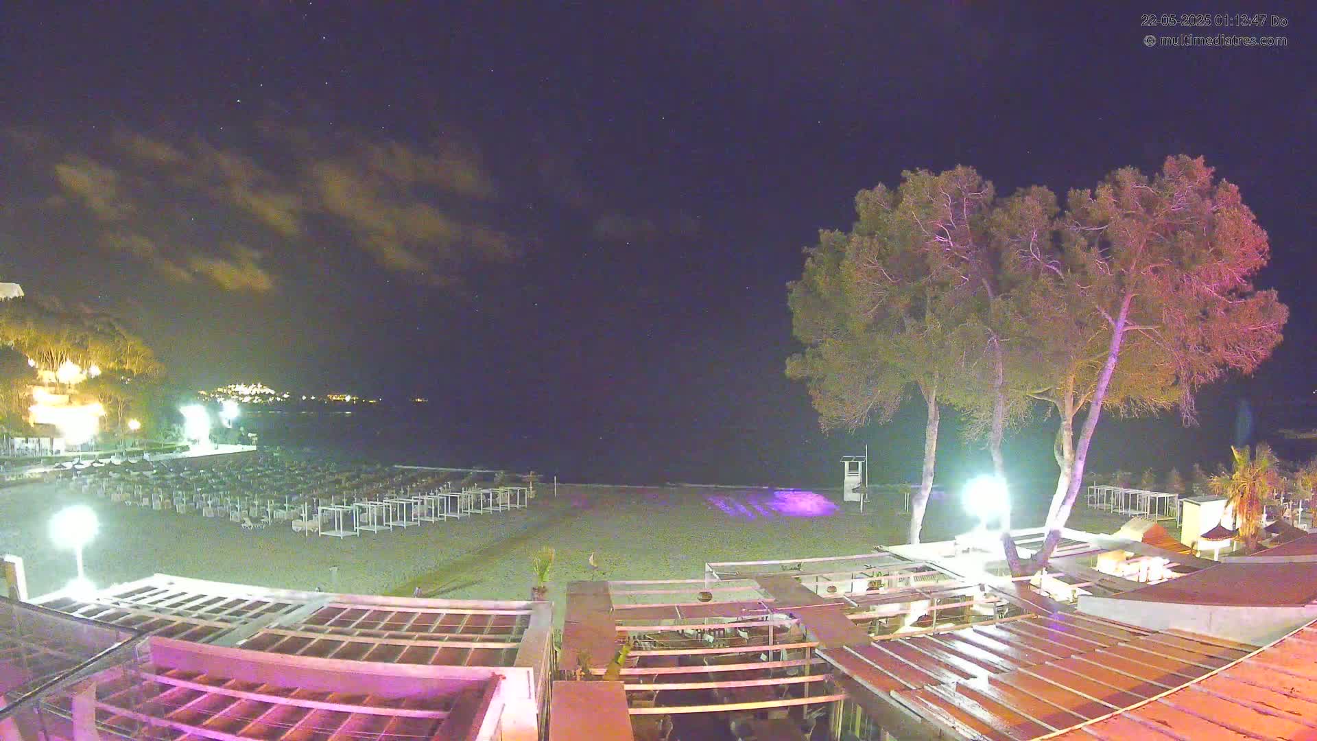 A nighttime beach scene with a mostly clear sky, showing rows of beach loungers, several tall trees, and a beachfront building with outdoor seating.