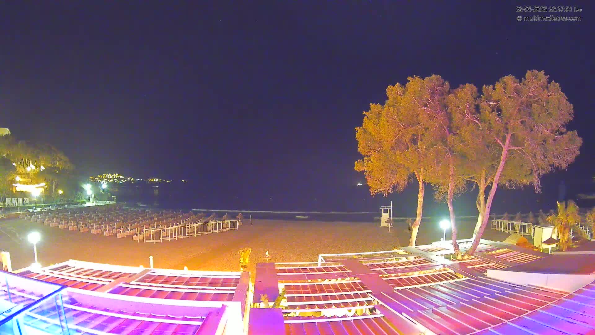 A nighttime view of a beach with rows of beach chairs, several trees, and outdoor seating under illuminated canopies, overlooking a calm sea under a clear night sky.