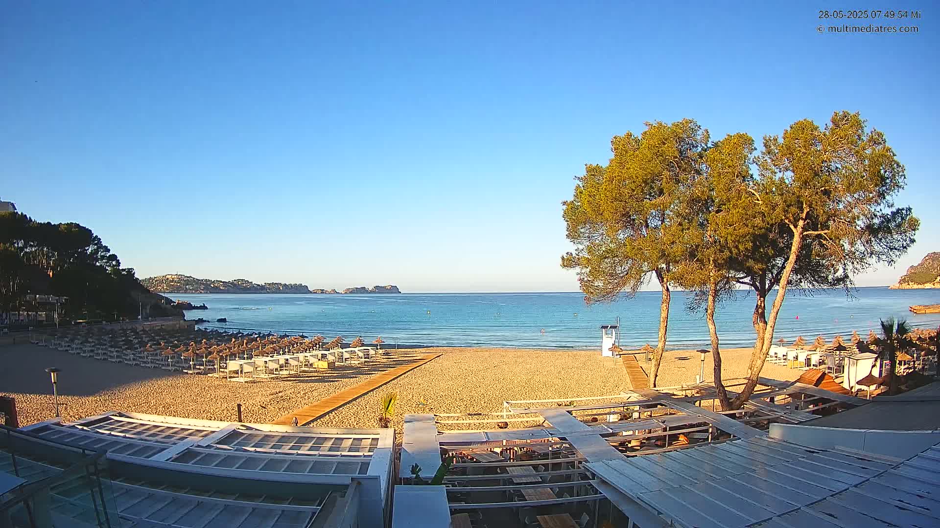 A sandy beach with rows of umbrellas, a calm turquoise sea, and several pine trees in the foreground under a clear blue sky.
