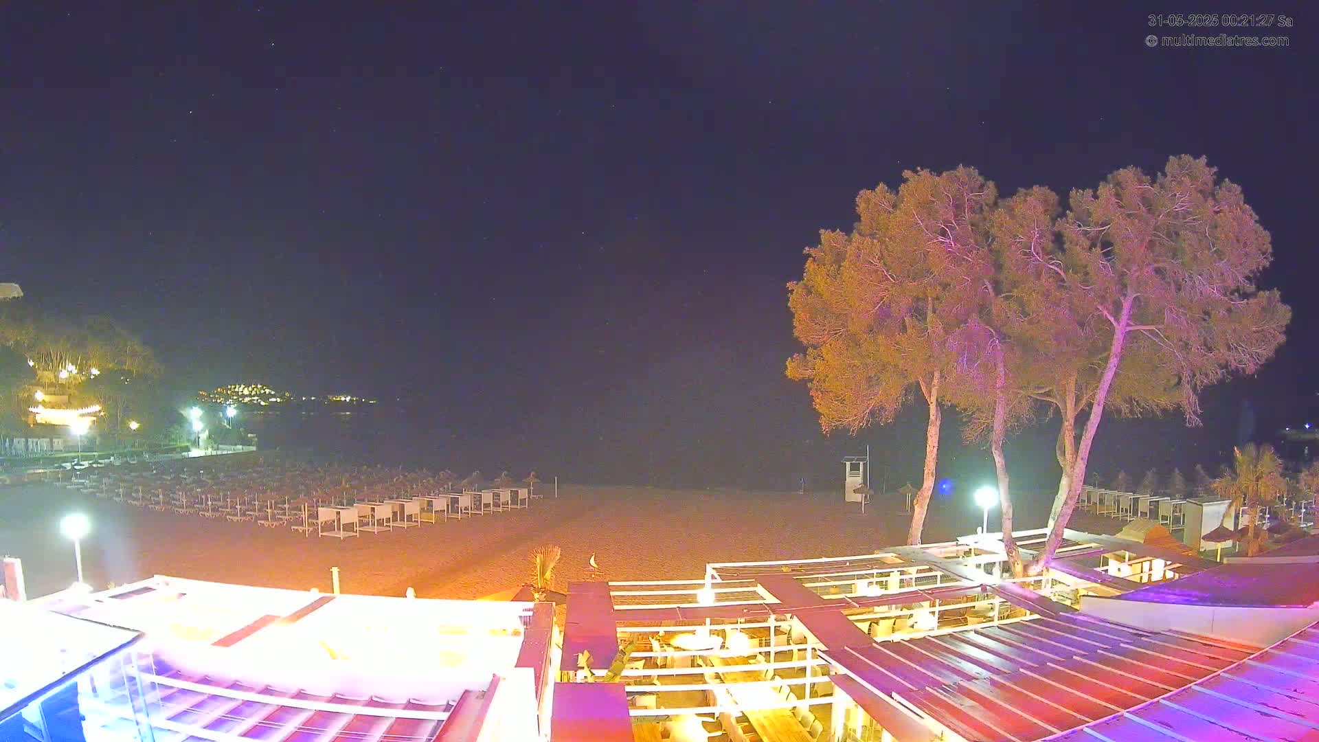 A nighttime beach scene shows a sandy beach with rows of closed beach umbrellas, several illuminated trees near a beachfront structure, and a dark, clear night sky.