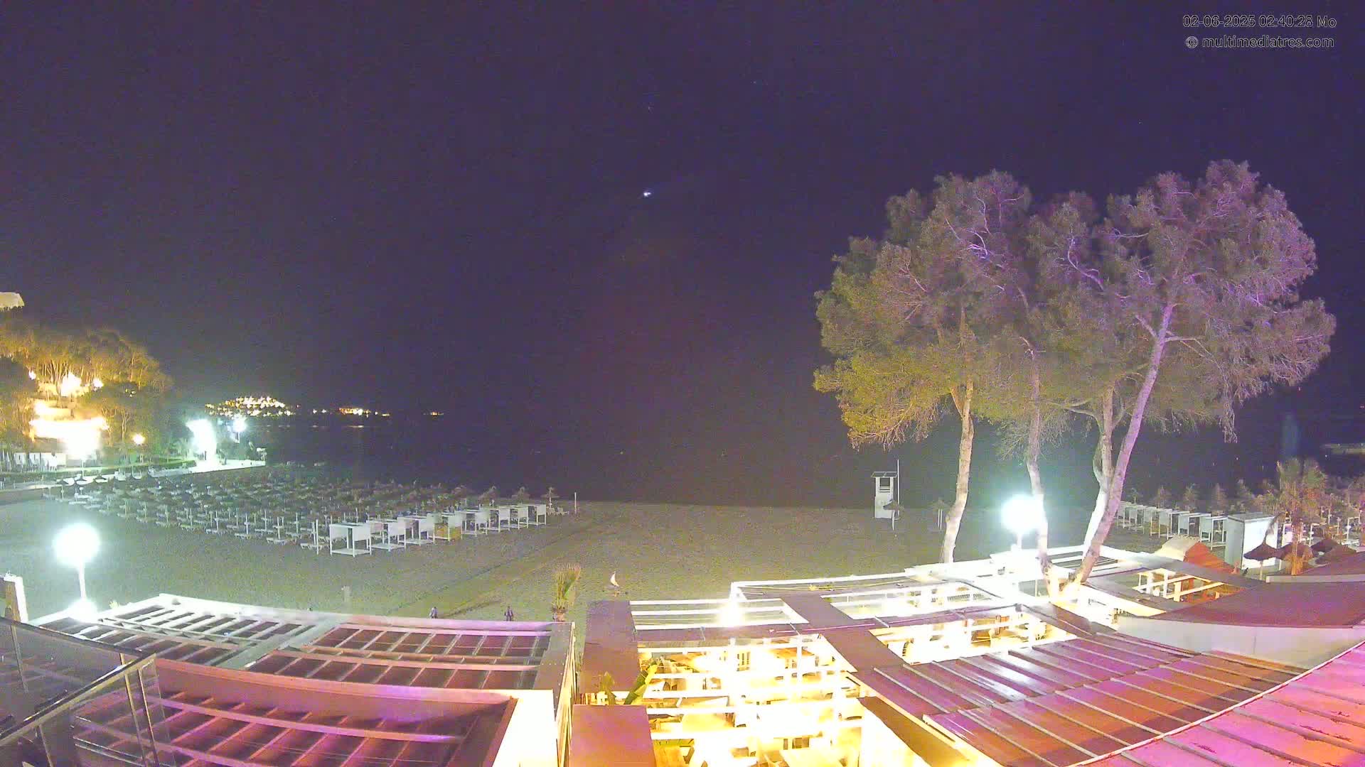 A nighttime view of a beach with rows of lounge chairs, a restaurant with illuminated outdoor seating, and several tall trees, under a clear, dark sky.