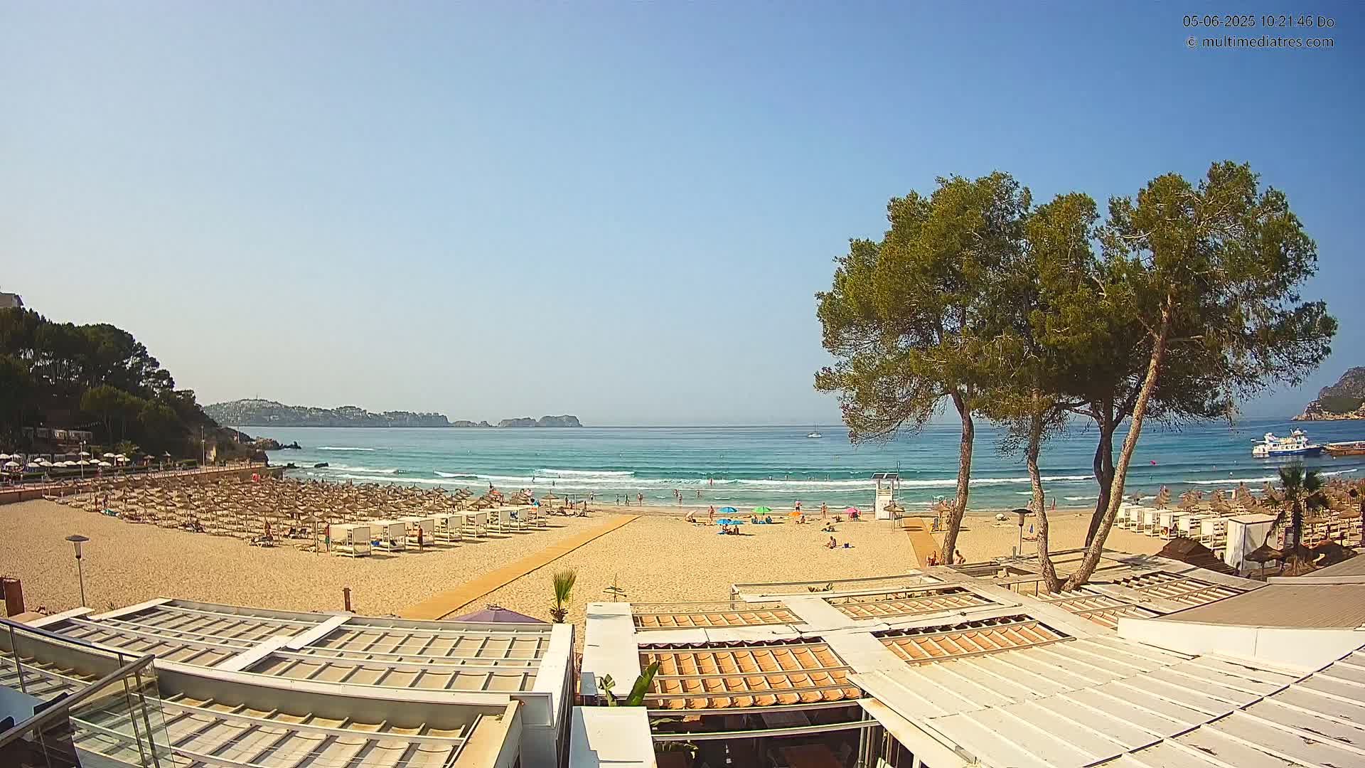 A sandy beach with rows of beach umbrellas and lounge chairs, overlooking a calm ocean with small waves under a clear blue sky, and two large pine trees in the foreground.