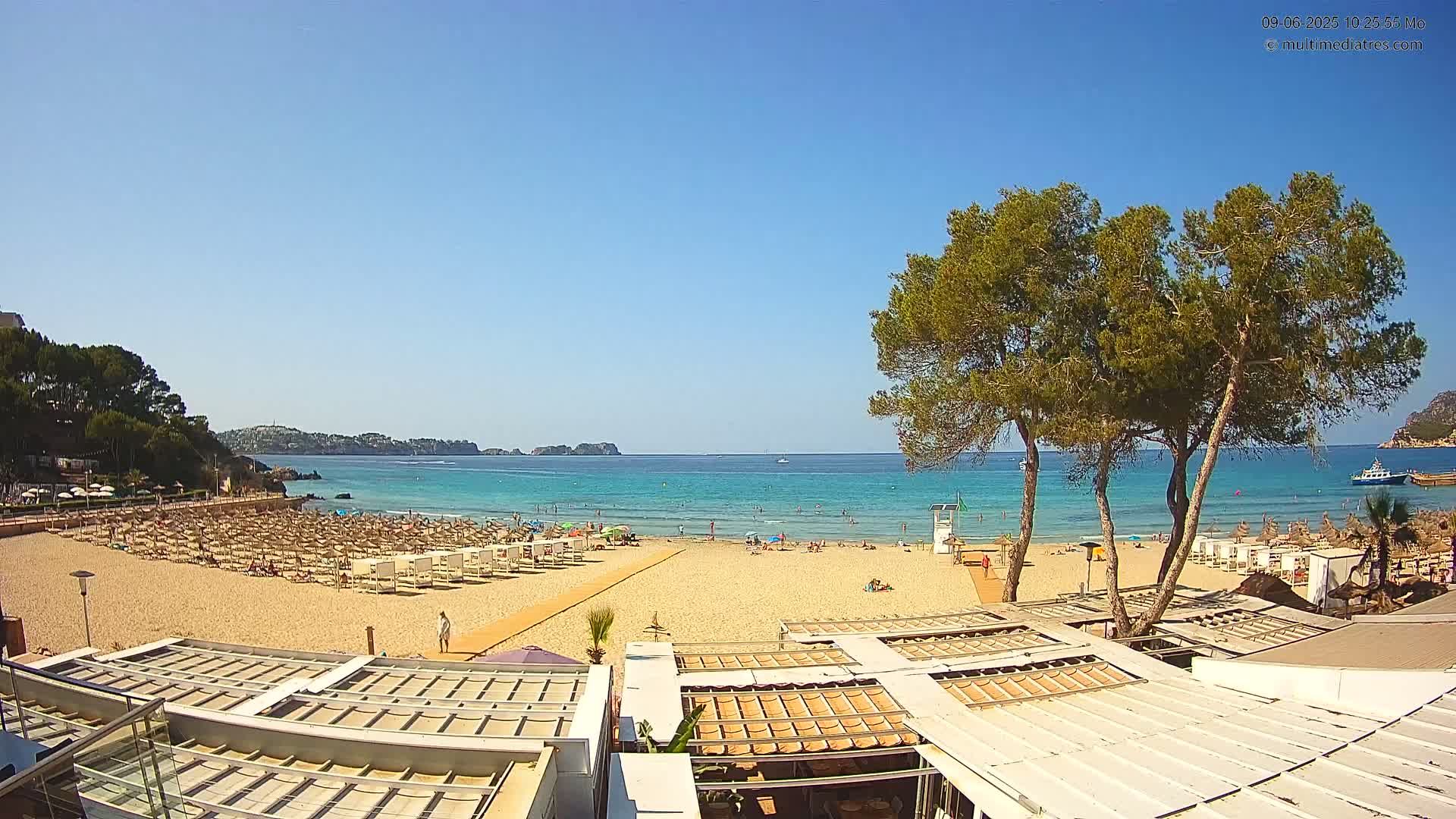 A sandy beach with rows of lounge chairs and umbrellas, several people swimming in a calm, turquoise ocean under a clear blue sky, is partially obscured by the tops of several buildings and trees.