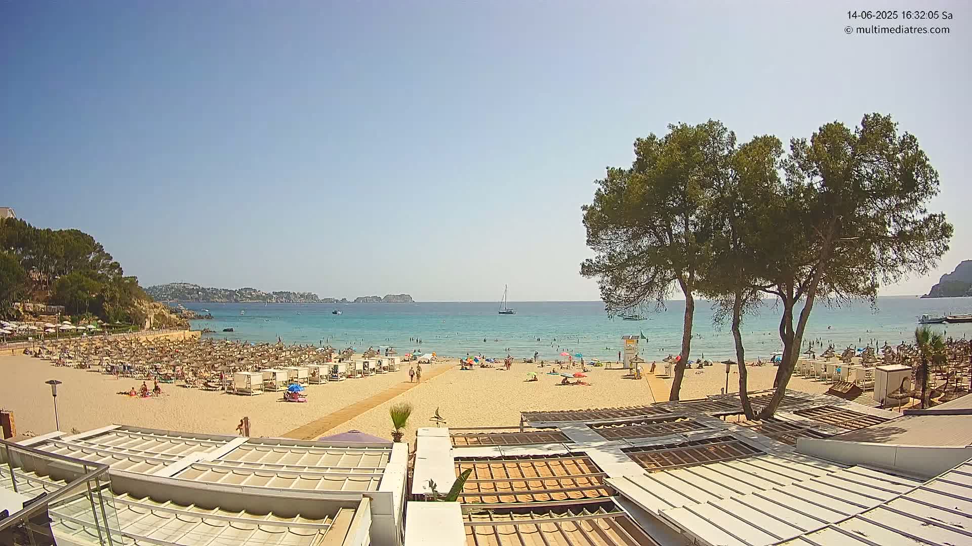 A sunny beach scene shows a sandy shore with numerous beach umbrellas and people, backed by calm turquoise water, and several pine trees in the foreground.