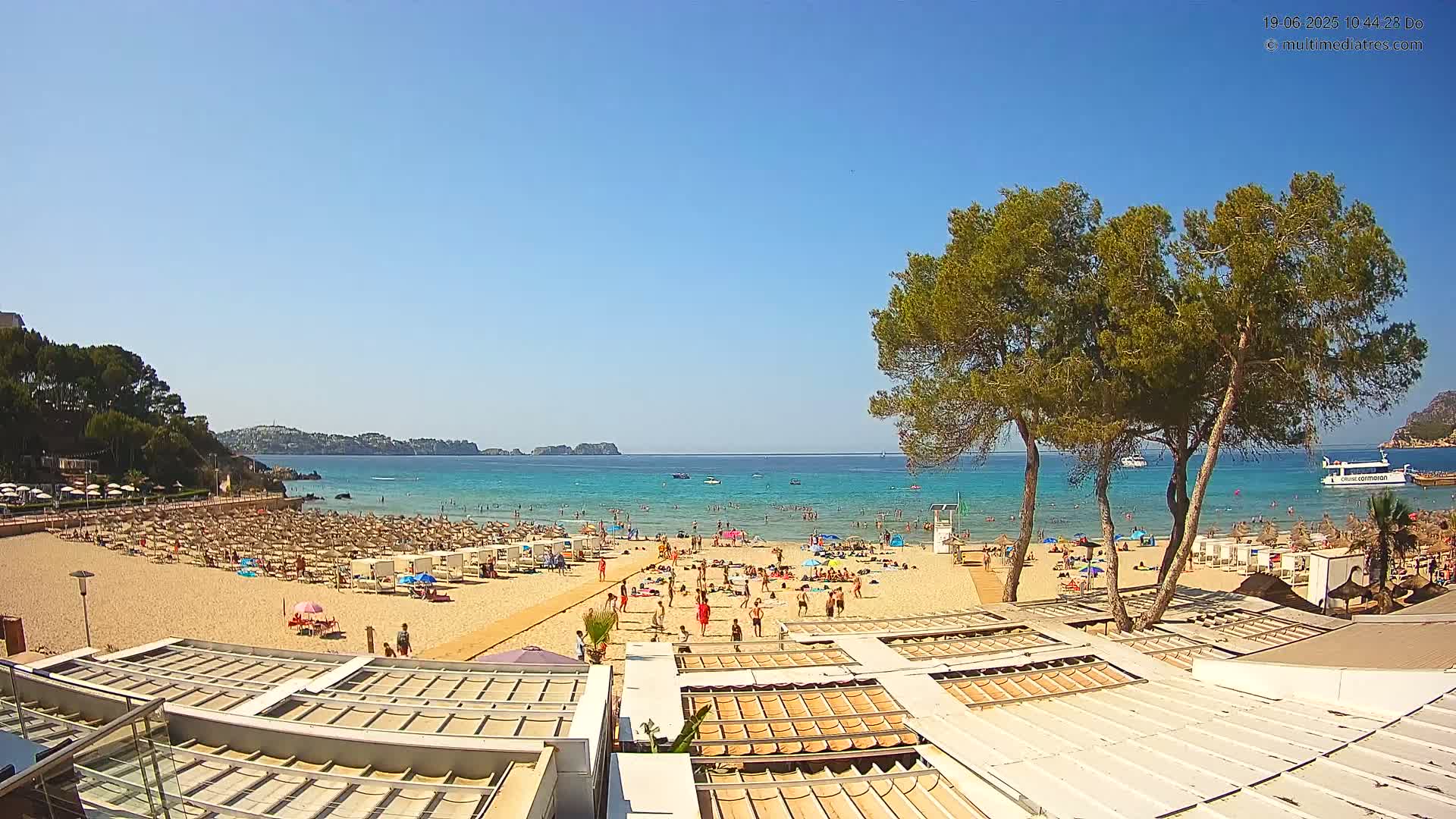 A sunny beach scene shows many people relaxing on the sand and in the clear, turquoise water, with several pine trees in the foreground and distant hills visible across the calm ocean.