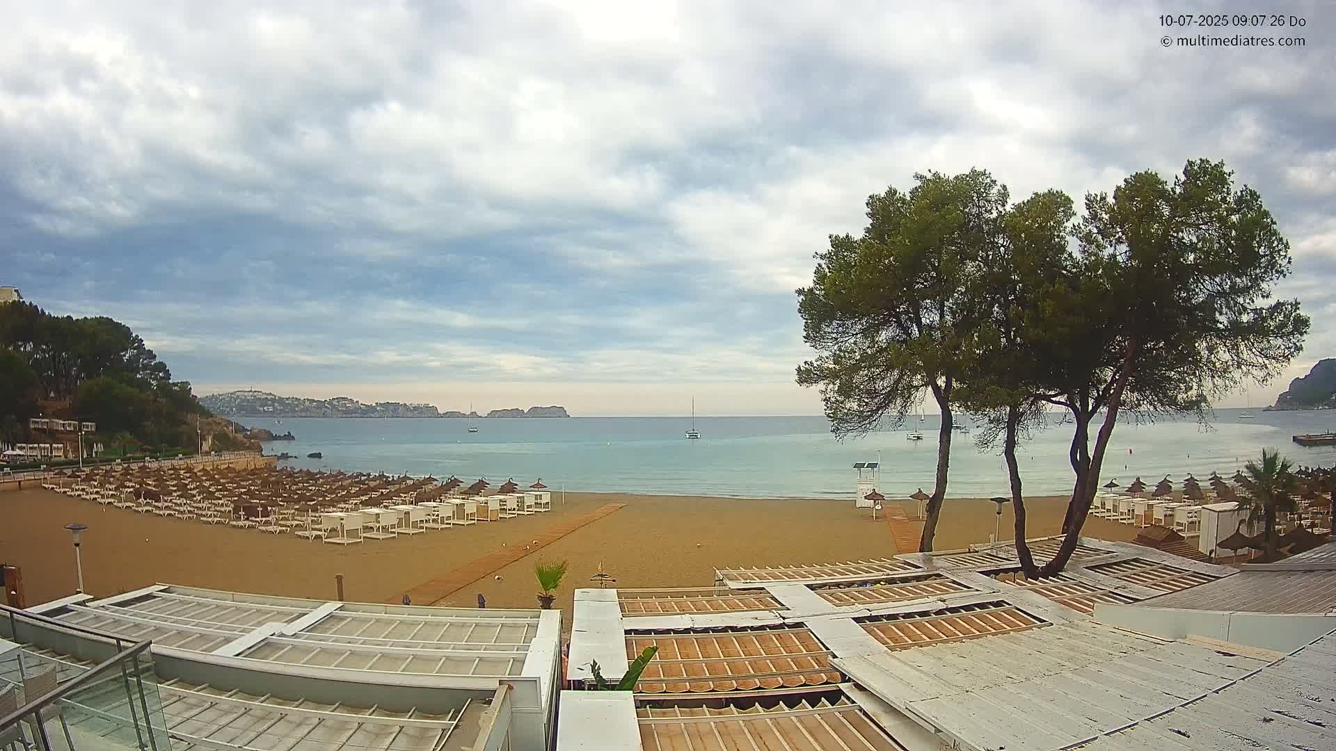 A sandy beach with numerous lounge chairs and umbrellas is situated next to a calm sea under a partly cloudy sky, with two tall pine trees prominently in the foreground.