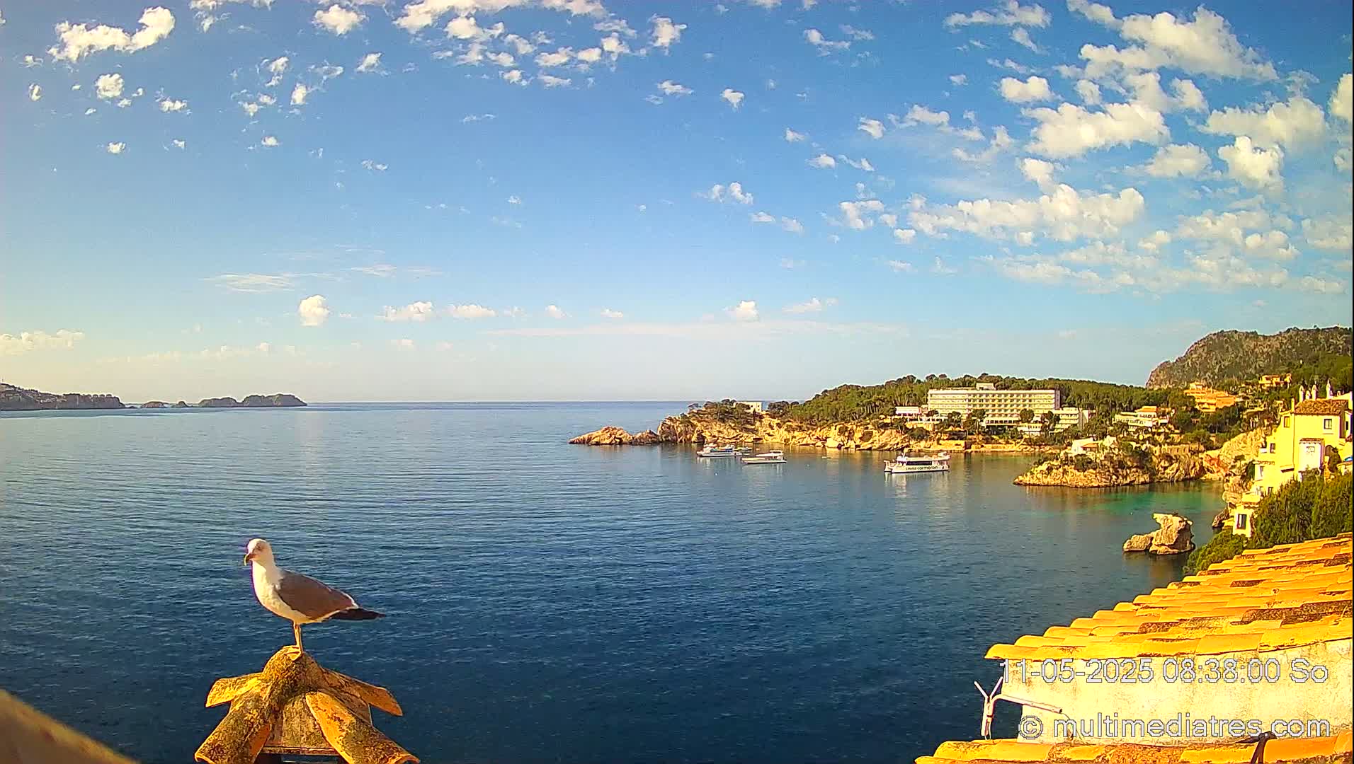 A seagull perches on a railing overlooking a calm bay with a hotel and several boats under a partly cloudy sky.