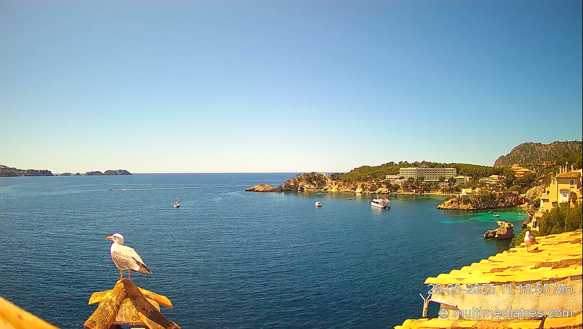 A seagull perches on a yellow rooftop overlooking a calm, blue sea with boats and a coastal town under a clear, sunny sky.