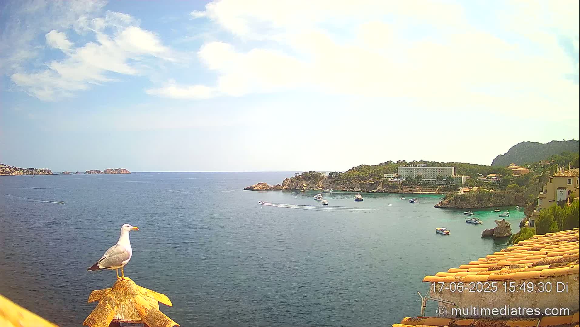 A seagull perches on a tiled roof overlooking a calm, sunny ocean bay with several boats and buildings on a rocky coastline.