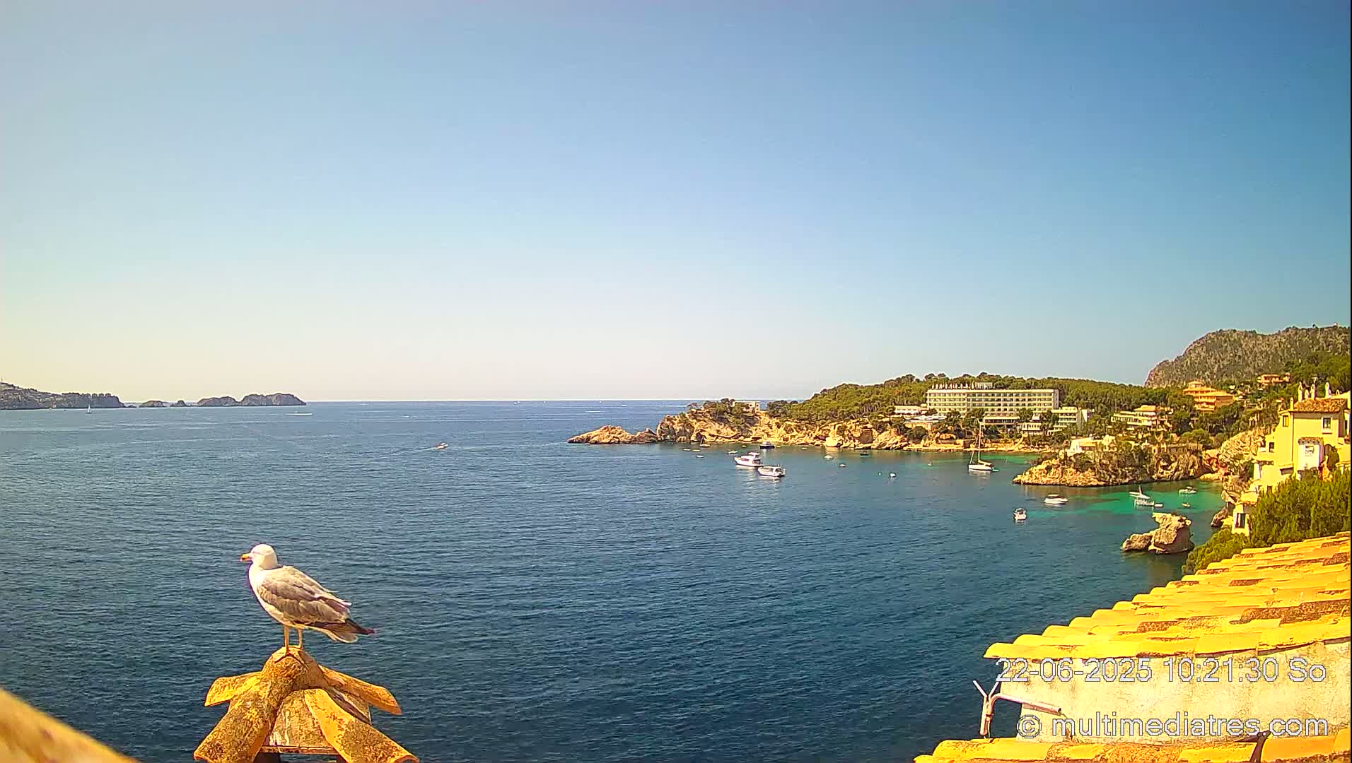 A seagull perches on a yellow roof overlooking a calm, blue sea with boats and buildings on a sunny day.
