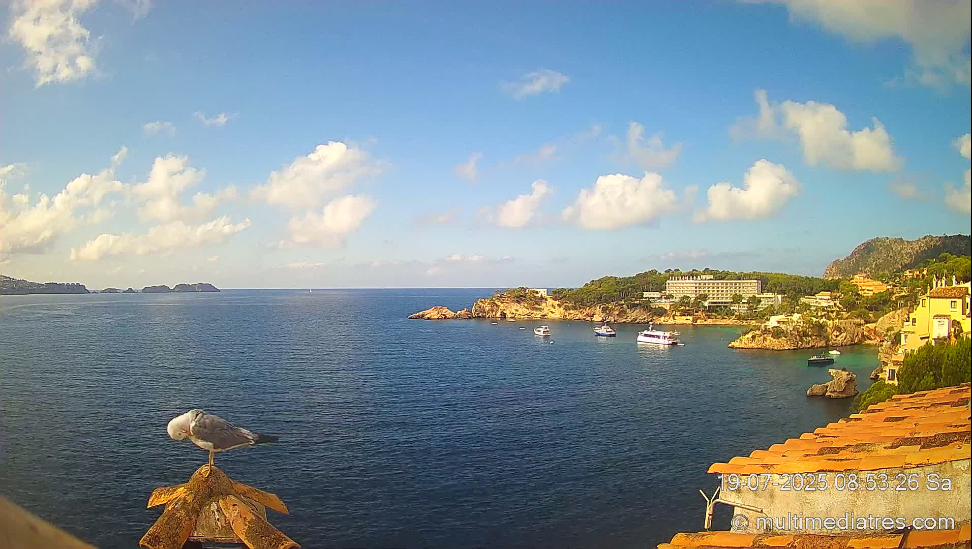 A seagull perches on a terracotta roof overlooking a calm bay with boats and buildings under a partly cloudy sky.