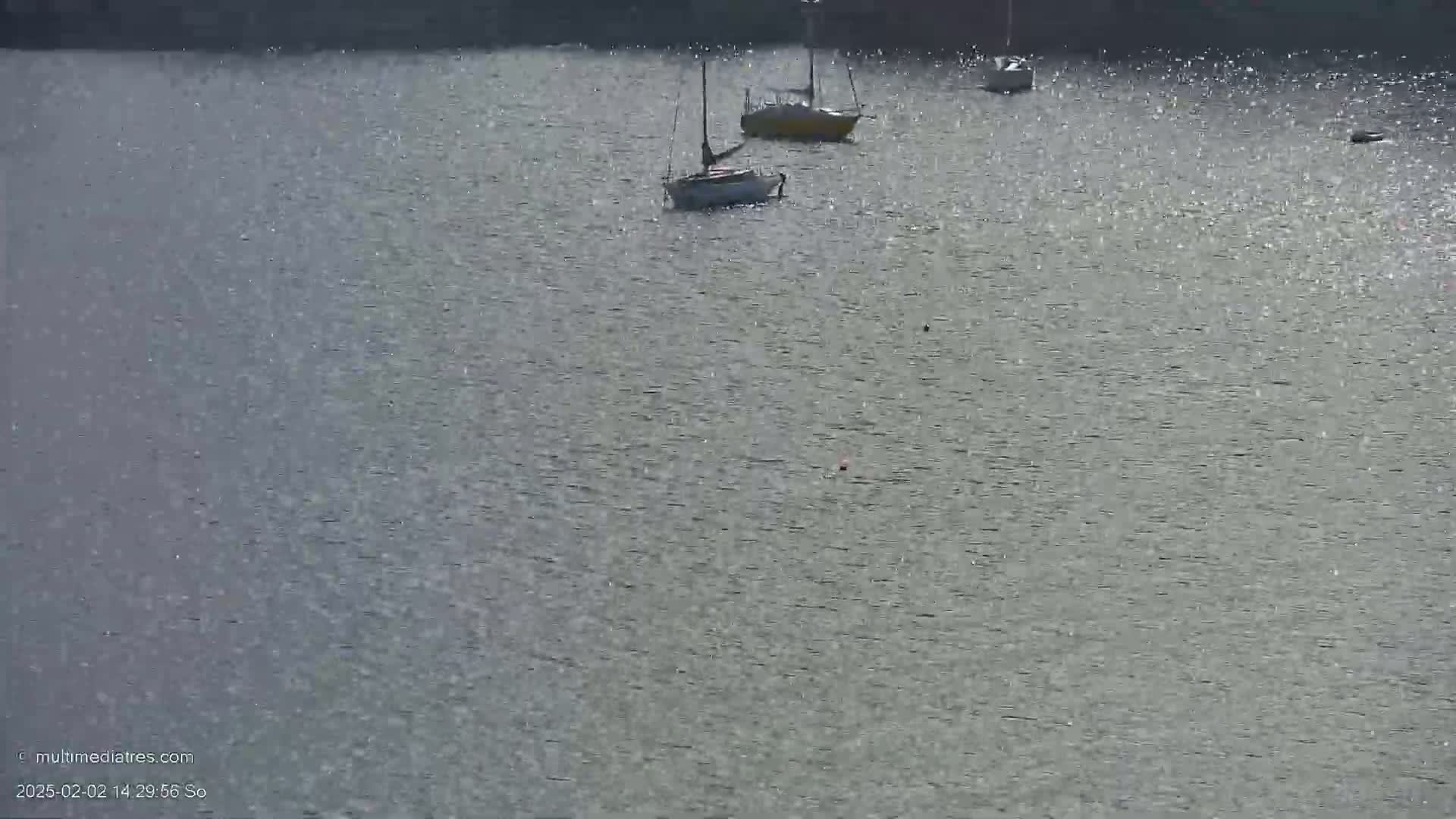 Three sailboats are at anchor on a calm, sparkling body of water.