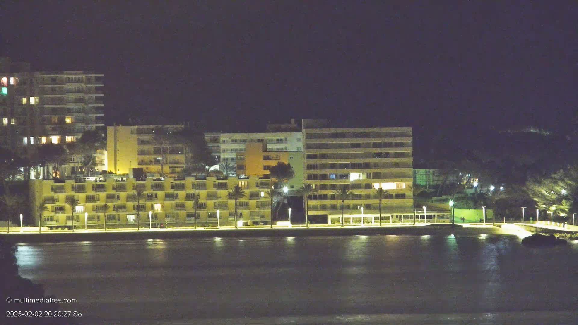 Illuminated multi-story buildings line a waterfront at night, palm trees dotting the shoreline.