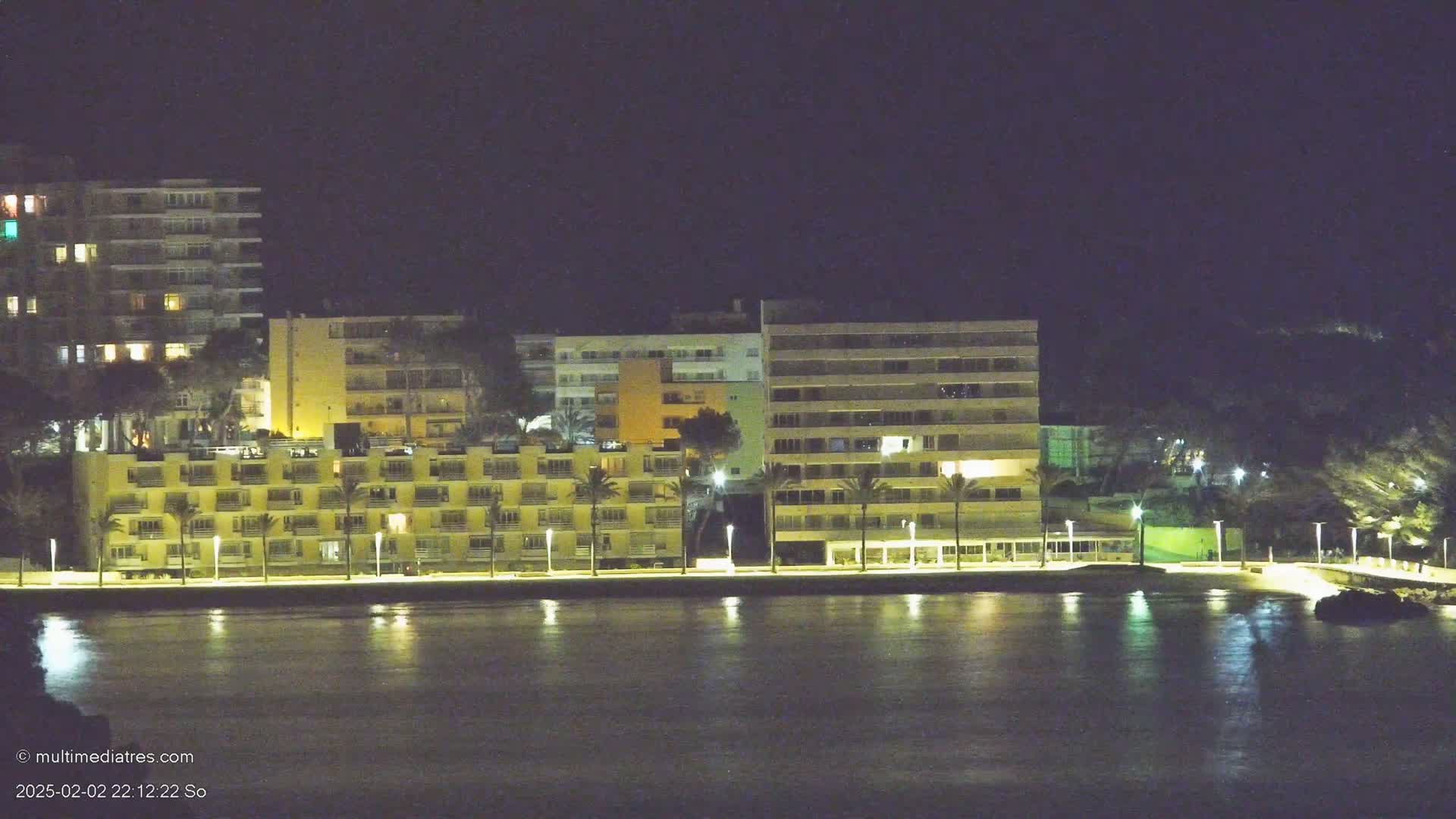 A row of illuminated buildings lines a waterfront at night, palm trees standing between them and the calm water.