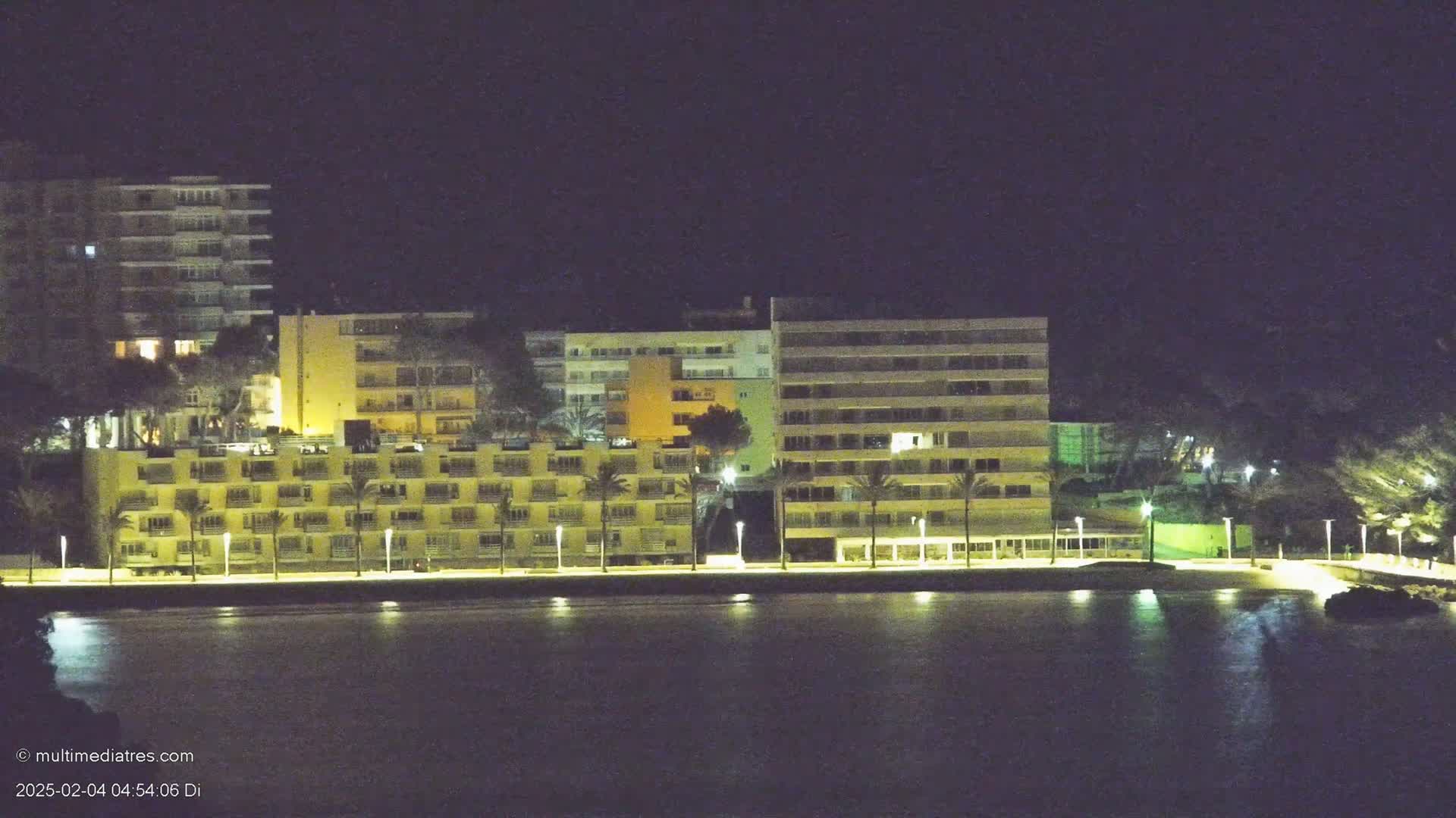 At night, illuminated apartment buildings line a calm waterfront, palm trees standing between the buildings and the water.