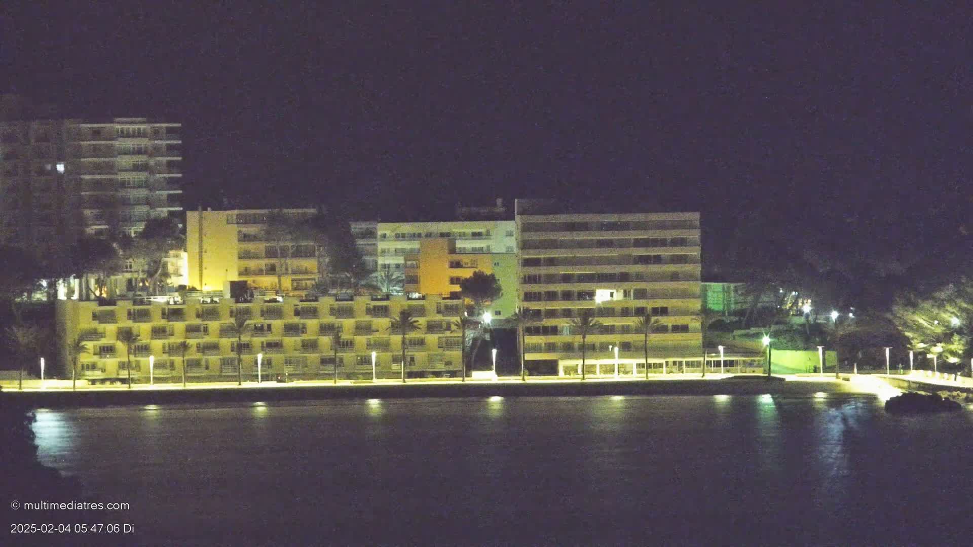 A line of multi-story buildings with palm trees in front, illuminated at night, sits along a dark body of water under a clear, night sky.