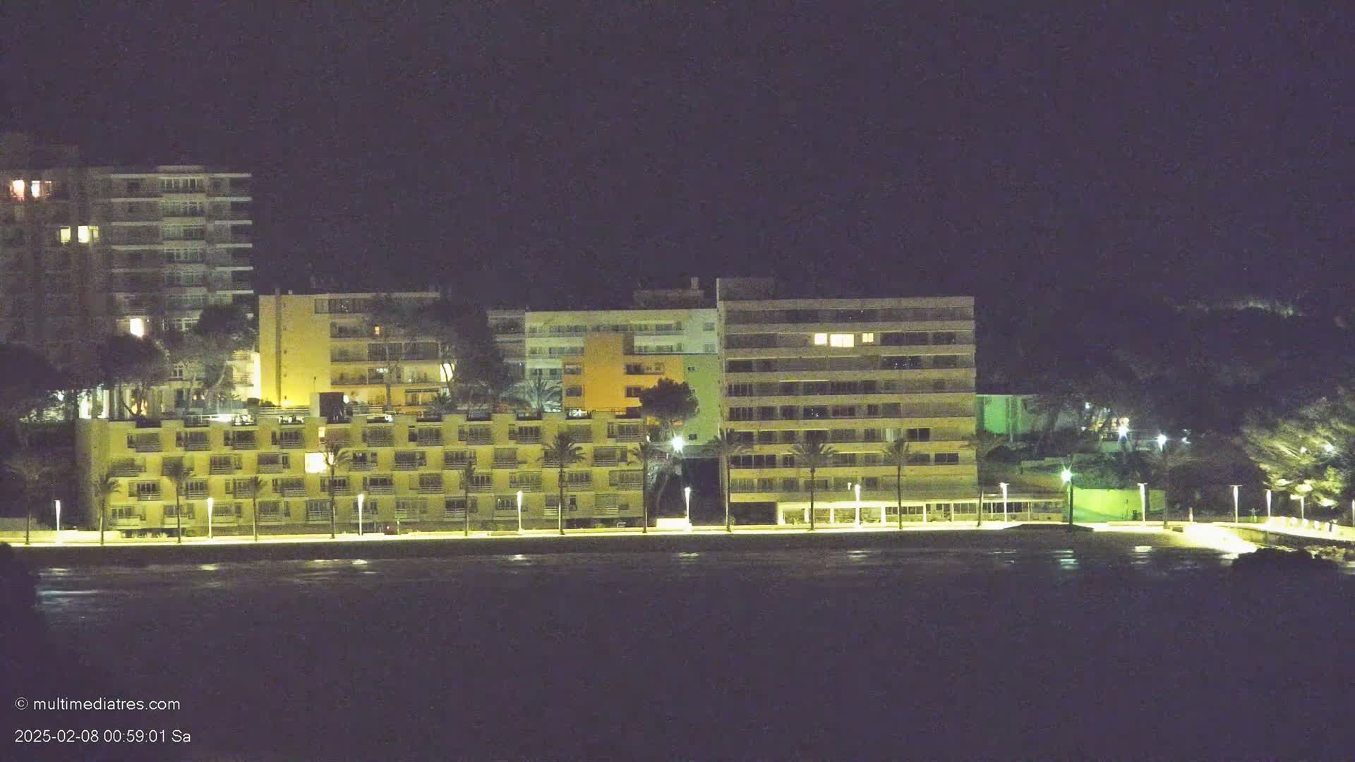 At night, several illuminated multi-story buildings are situated along a waterfront, with palm trees lining the shoreline.